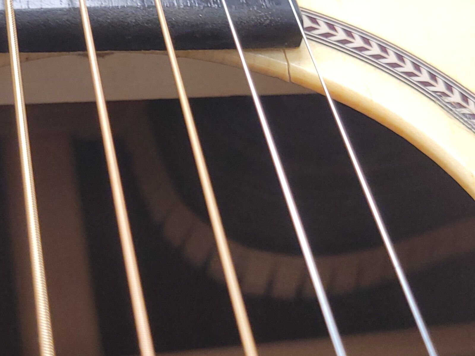 Seagull Artist Studio CMDEL Acoustic Guitar - Premium Handcrafted Guitar for Professional Musicians & Performers - Perfect for Live Shows, Studio Recording & Home Practice