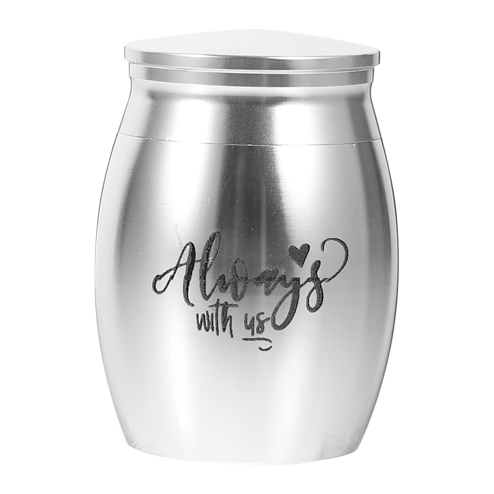 POPETPOP Stainless Steel Pet Urn for Ashes - Mini Cylinder Keychain Urn for Dogs & Cats - Small Pet Cremation Urn Container to Commemorate Your Beloved Pet - Perfect for Travel, Memorials & Keepsakes