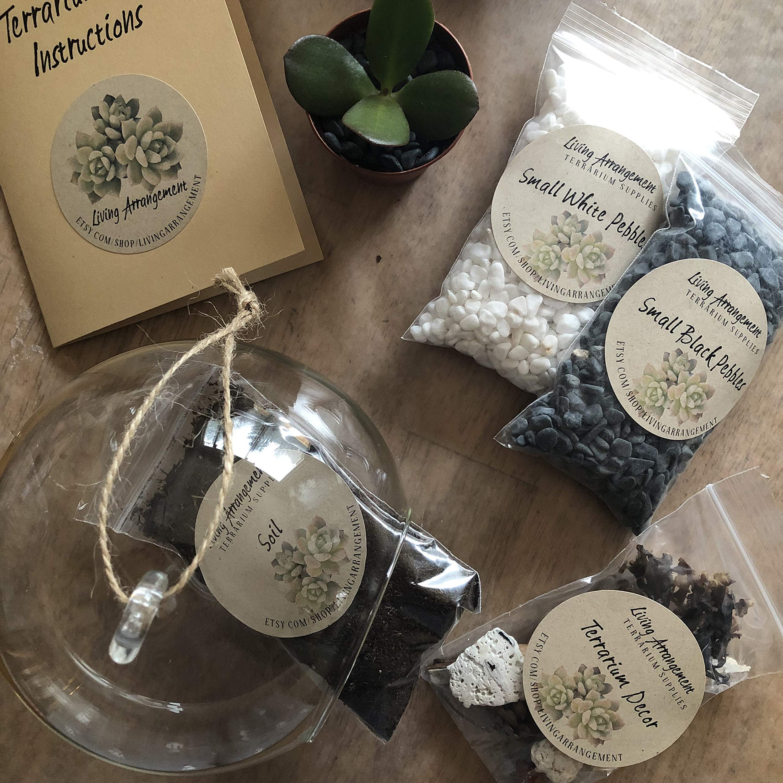 Complete DIY Terrarium Kit with Glass Jar, Plants & Decor - Create Your Own Mini Garden | Perfect for Home Decor, Office Desk & Gift Giving