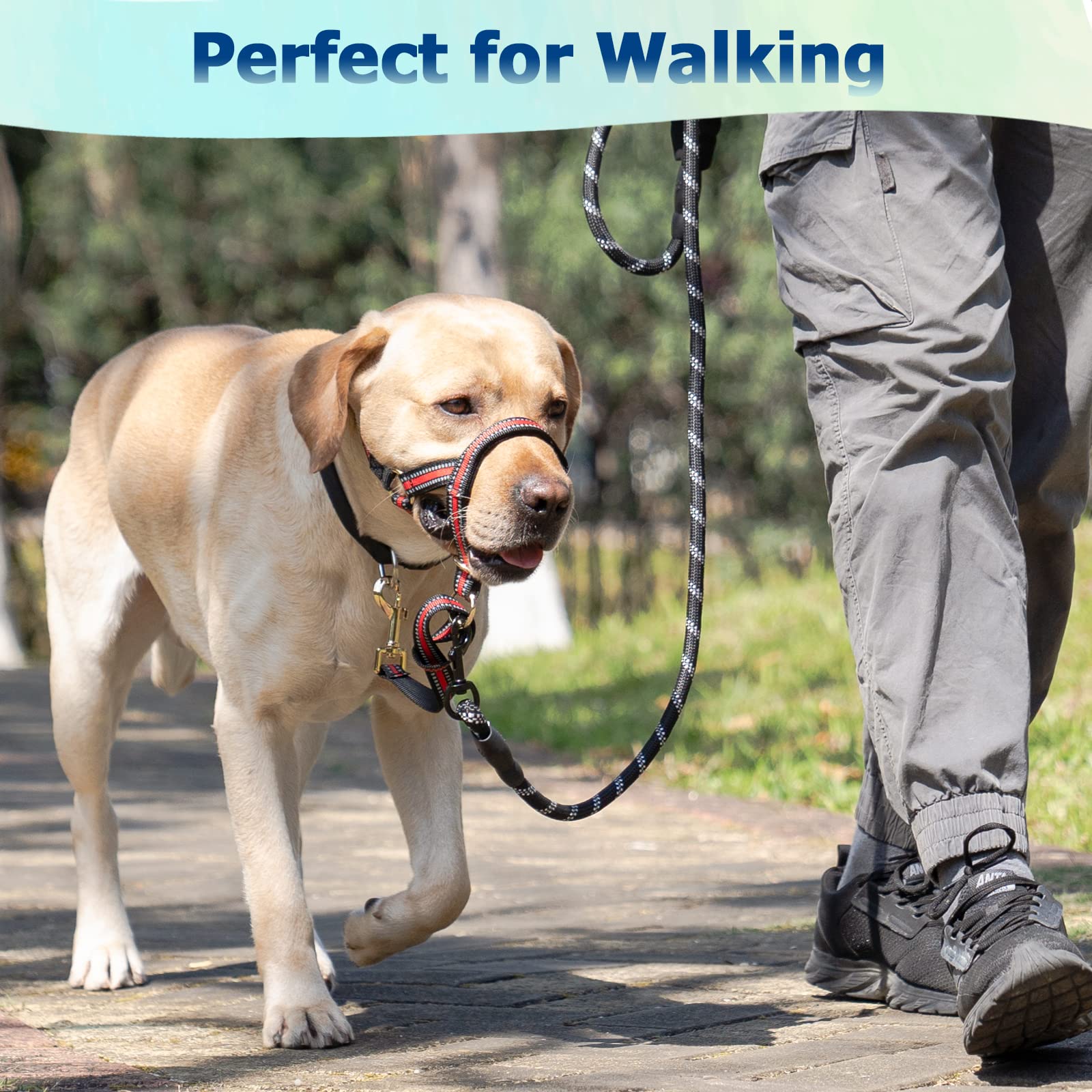 No Pull Dog Muzzle Leash for Aggressive Large Dogs - Adjustable Head Halter Harness to Stop Pulling & Choking (XL, Red) - Perfect for Walks, Training & Controlling Strong Pullers Safely