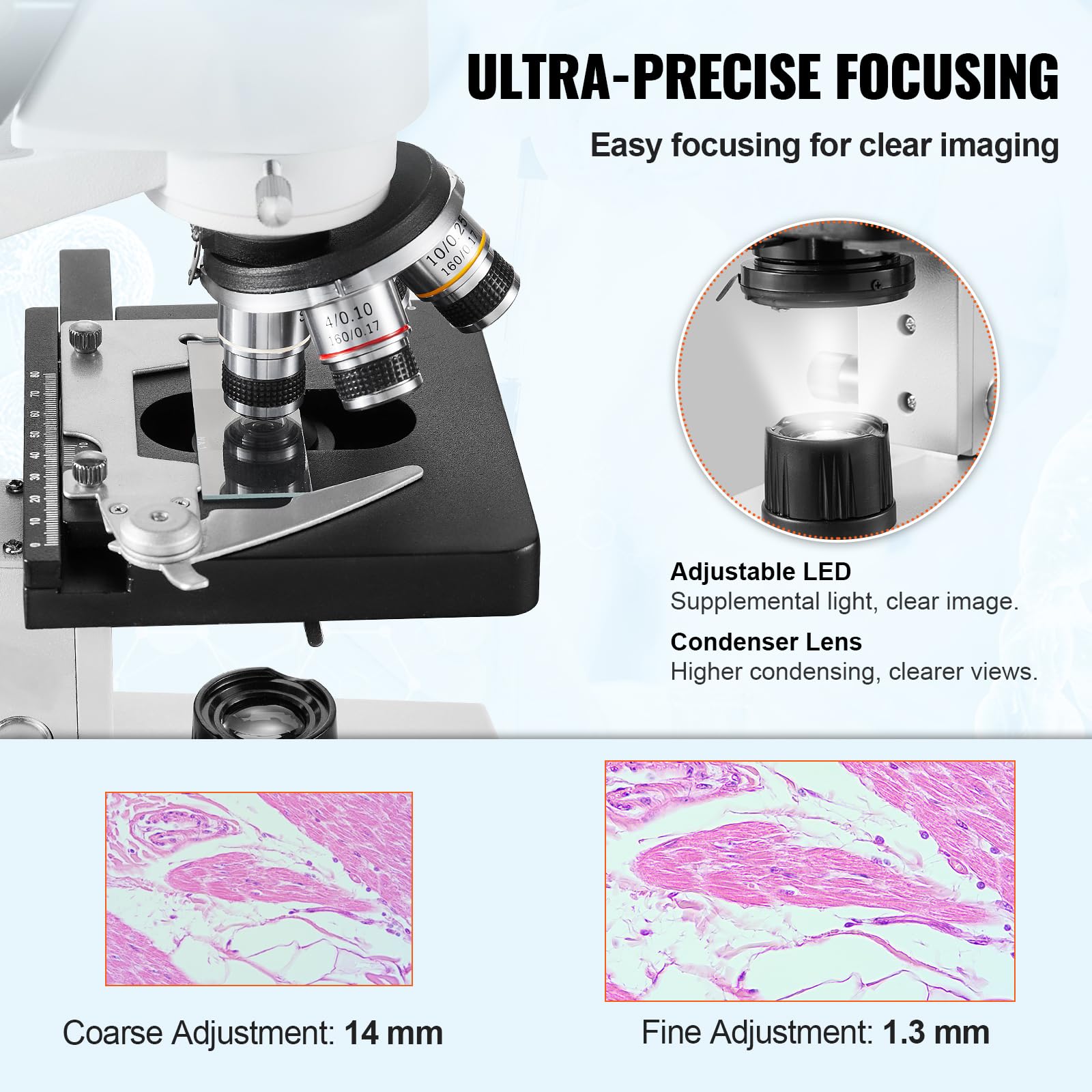 VEVOR Binocular Compound Microscope 40X-2500X Magnification, Professional Lab Microscope with LED Illumination & Phone Adapter - Ideal for Students, Adults, Home & Laboratory Use in Biology, Science Education & Research