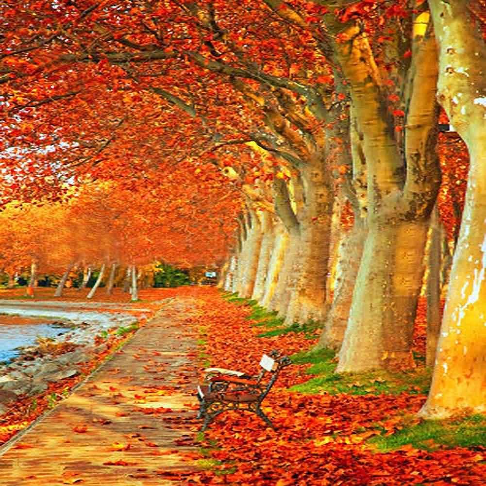 GladsBuy 10x10ft Autumn Leaves Photography Backdrop for Fall Photo Shoots