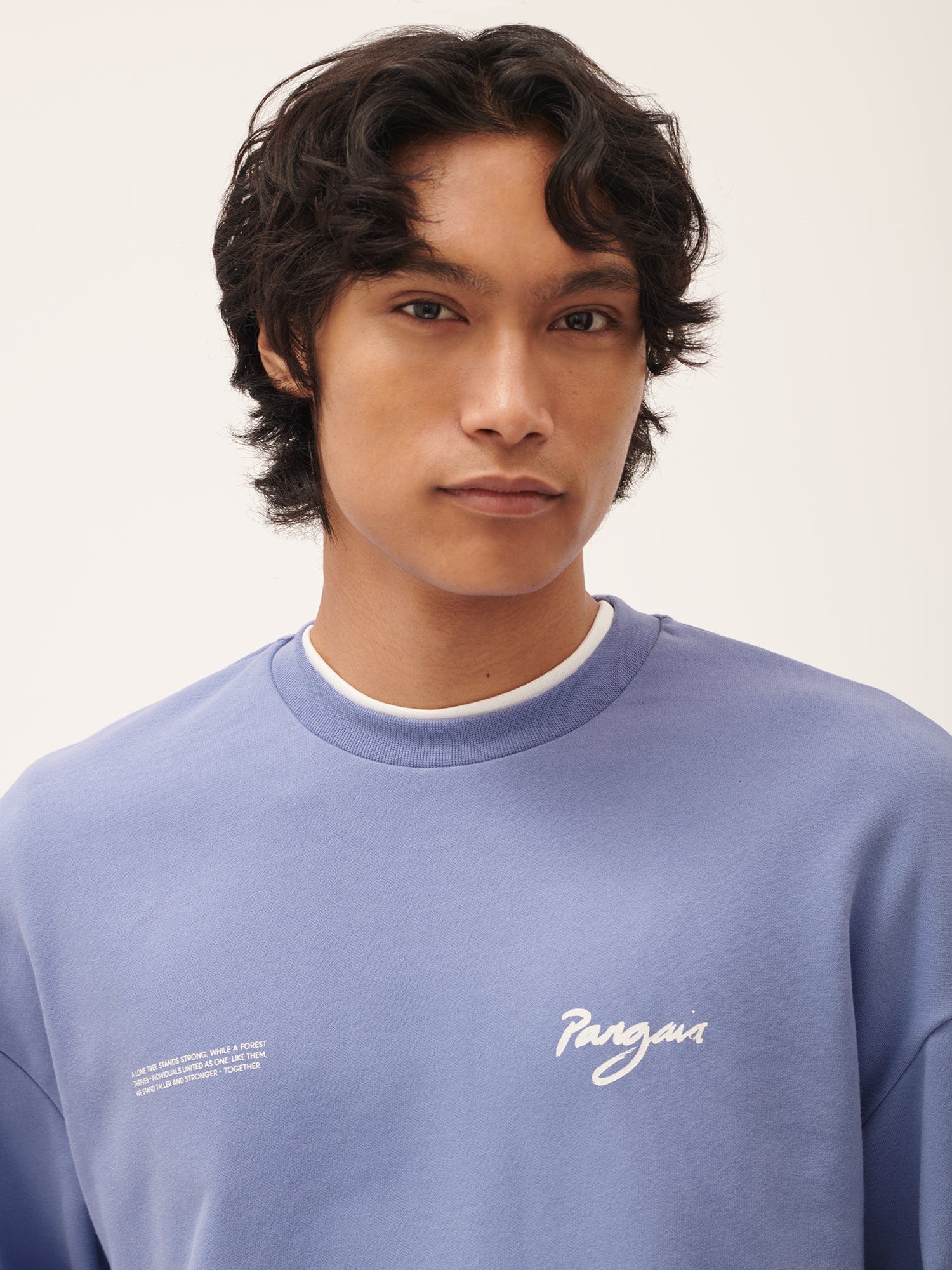 Men's One Forest Graphic Sweatshirt - Aster Purple Color Pullover Hoodie for Casual Wear, Street Fashion & Outdoor Activities