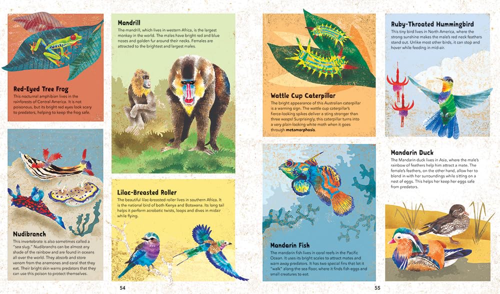 Barefoot Books Incredible Animals - Educational Wildlife Books for Kids | Perfect for Homeschooling, Classroom Learning & Bedtime Stories