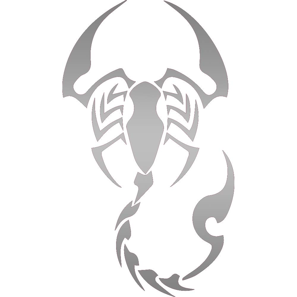 Premium Waterproof Vinyl Decal Stickers - Animal Scorpion (Metallic Silver) Set of 2 - Durable Laptop, Phone, Helmet, Car Window, Bumper, Mug, Cup, Wall Decor - Perfect for DIY Home, Office, Vehicle Customization & Unique Gift Ideas