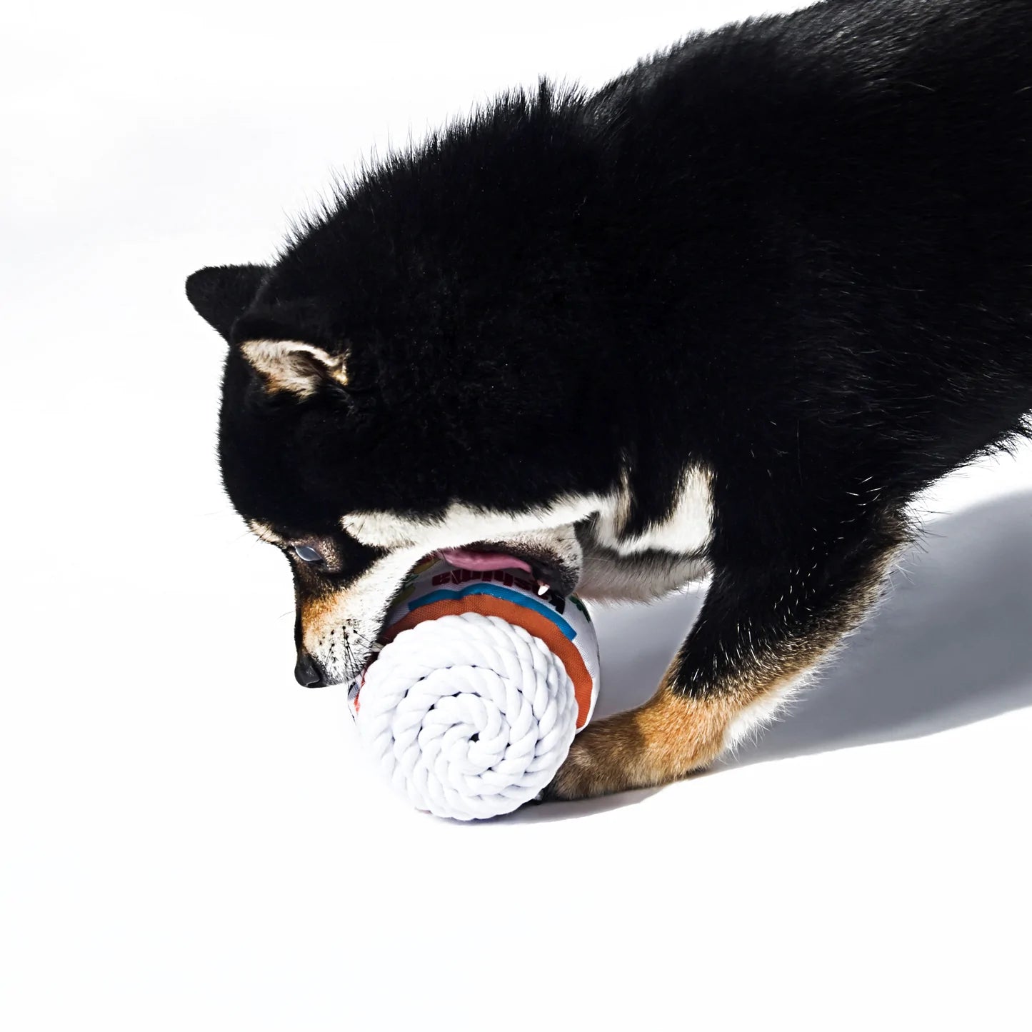 Durable Kashima Chew-Resistant Dog Toy with Peanut Butter Flavor - Perfect for Aggressive Chewers & Puppy Teething Relief