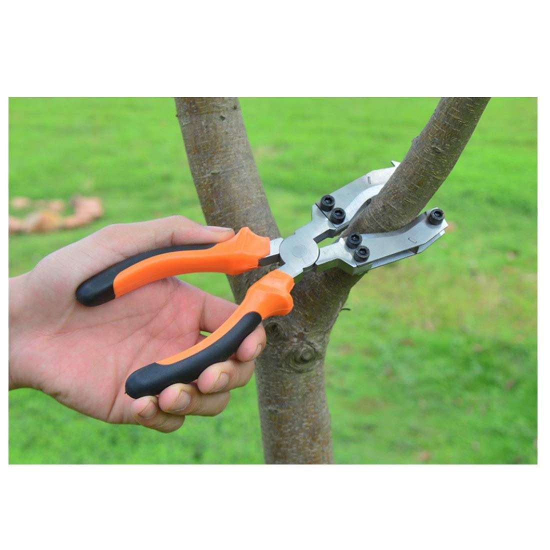 B-D Classic Manual Hand Pruner - Professional Garden Shears for Trimming, Pruning & Landscaping | Ergonomic Gardening Supplies & Greening Tools | Perfect for Orchard, Garden & Home Use (Orange)