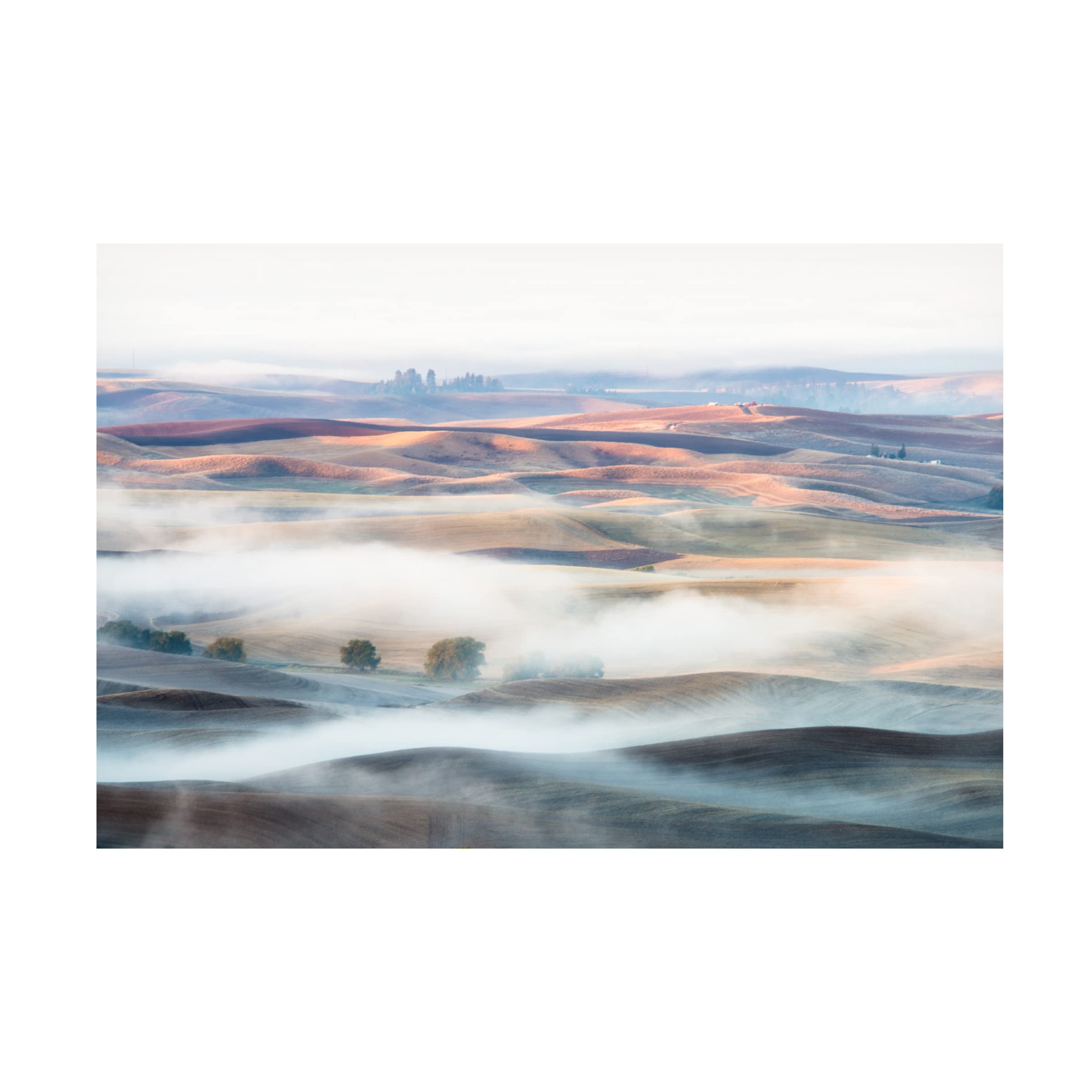 Thien Nguyen 'Misty Morning' Canvas Wall Art Print - Landscape Nature Painting for Living Room, Bedroom & Office Decor