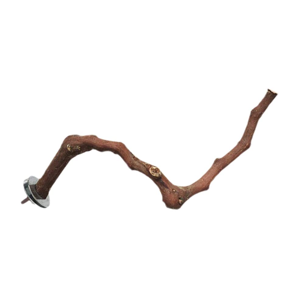 TEHAUX Natural Wood Bird Play Stand - Training Toy for Parrots, Budgies & Small Birds | Cage Accessories, Grape Wood Grinding Stick & Perch for Chewing & Playing | Perfect for Bird Exercise & Beak Trimming