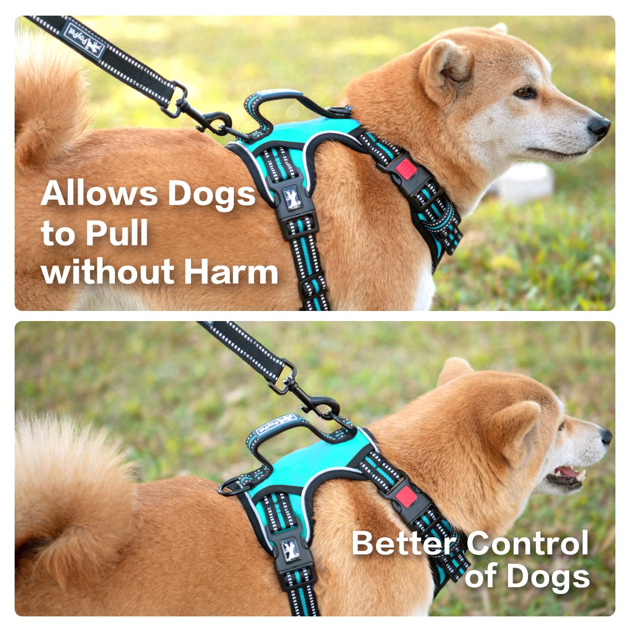 PoyPet No Pull Dog Harness - Front Clip Reflective Vest with Soft Padded Handle & 3 Leash Attachments for Small Medium Large Dogs (Mint Blue, Medium) - Perfect for Walking, Training & Nighttime Safety