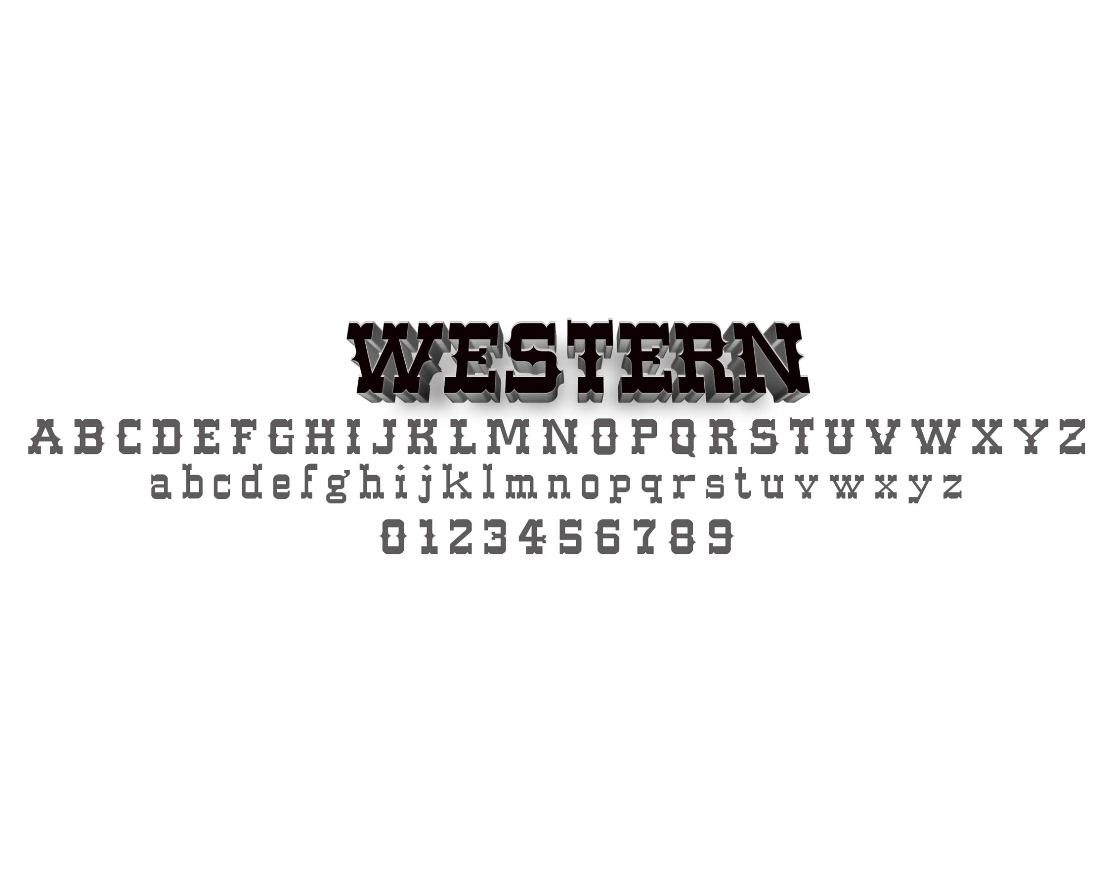 Custom Truck Number Sticker Decal - Personalized Vinyl Decals for Vehicles, Cars & Trucks - Waterproof & Durable for Outdoor Use on Windows, Bumpers & Tailgates