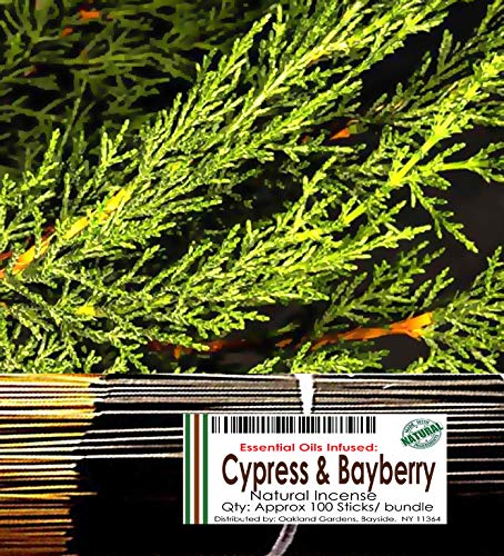 Cypress and Bayberry