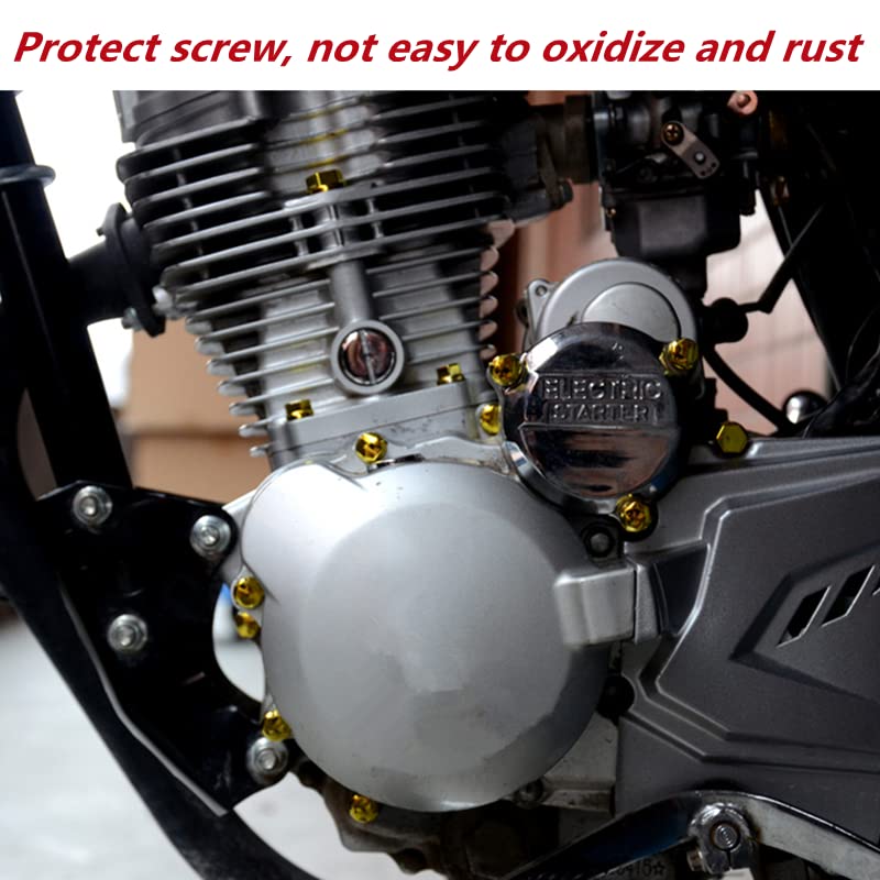 Qiilu 30Pcs Motorcycle Screw Nuts & Bolt Covers - Bike Decoration for Harley, Honda, Yamaha