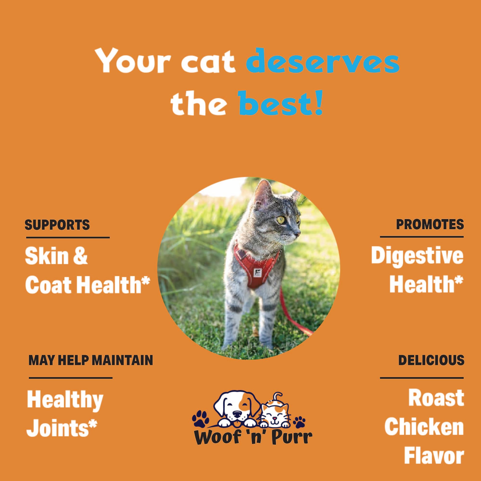 Premium Cat Collagen Drops for Skin & Coat Health - 1 fl oz Cat Supplement with Vitamins - Best for Indoor Cats - Supports Fur Shine & Skin Hydration - Perfect for Daily Use & Grooming Routine