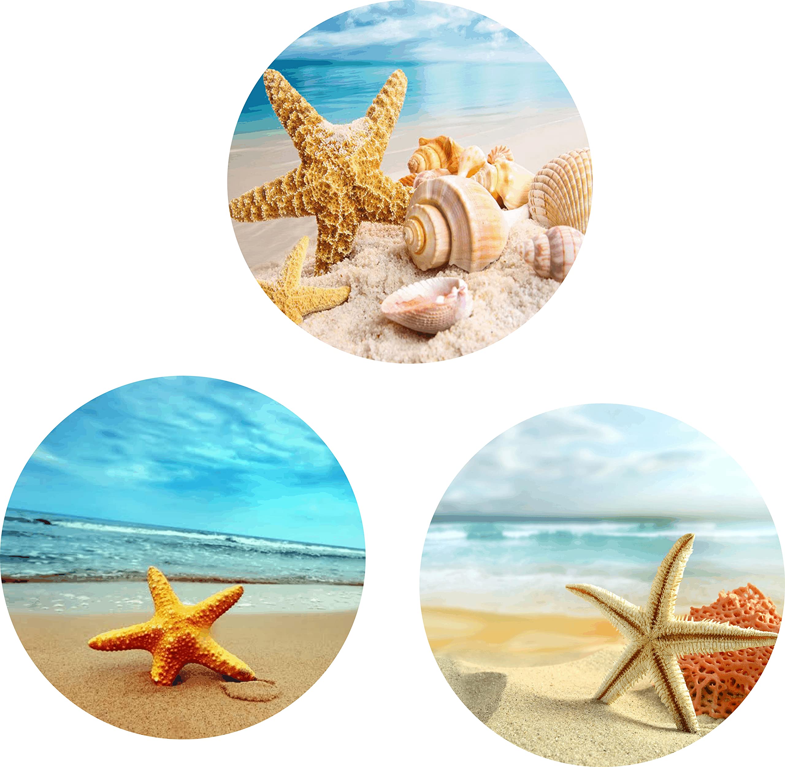 3 Pack Phone Holder with Starfish Shells - Expandable Grip Stand for Phones & Tablets - Perfect for Beach & Travel