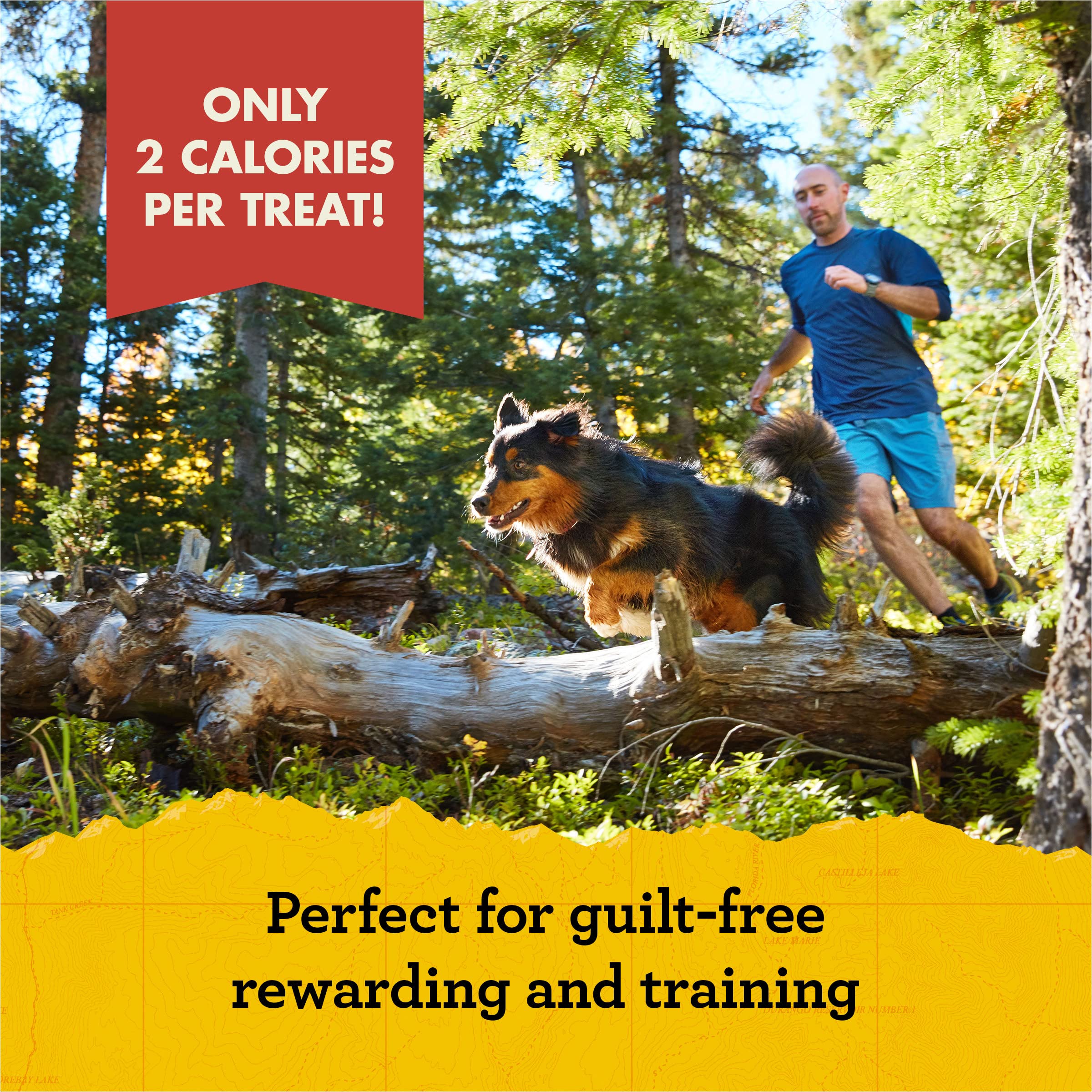 Zuke's Mini Naturals Salmon Recipe Dog Training Treats - Soft & Nutritious with Vitamins & Minerals for All Breeds - 16oz Pack - Perfect for Obedience Training & Positive Reinforcement
