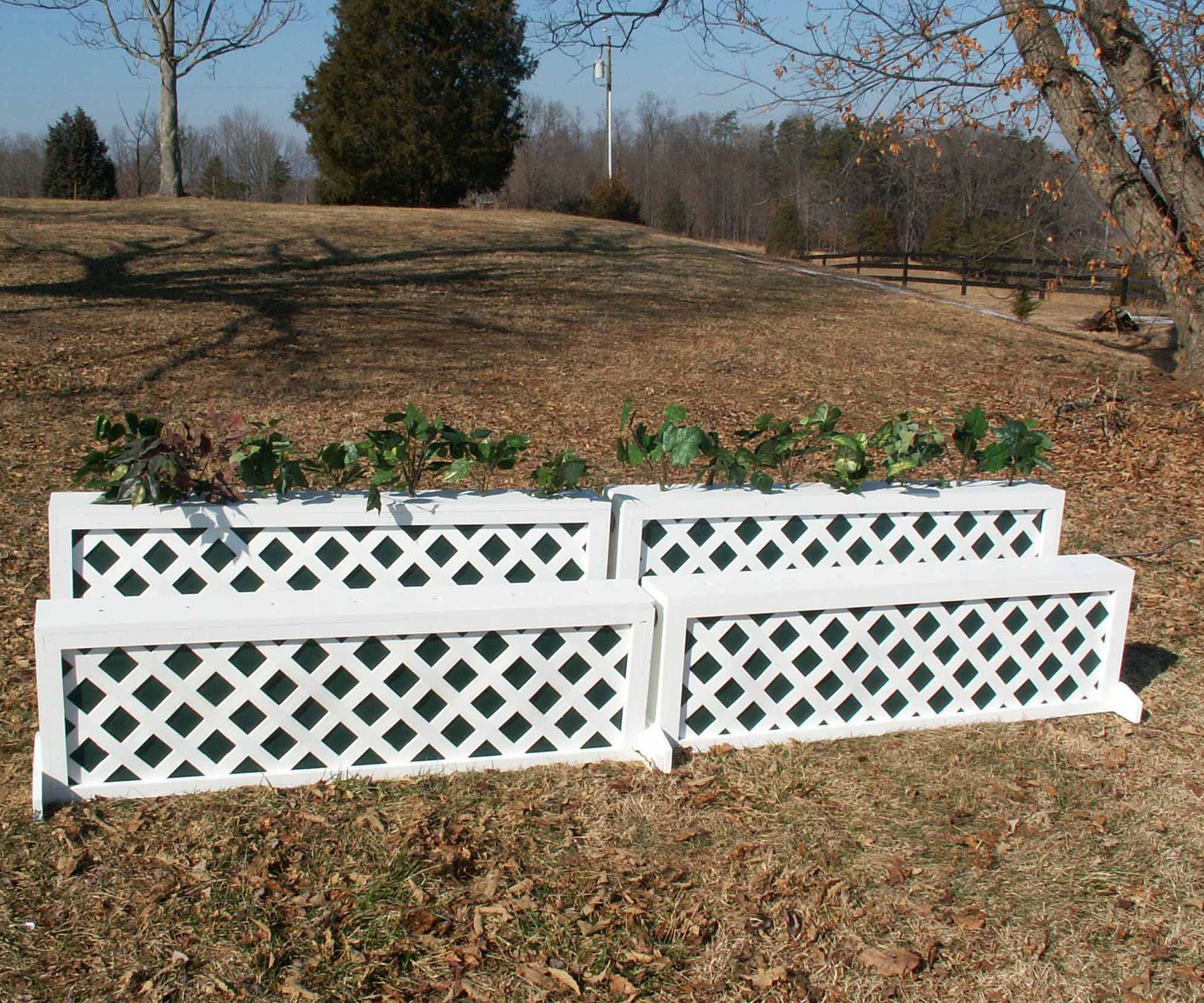 Premium Lattice Panel Brush Box Horse Jumps Set of 2 - Durable Equestrian Training Equipment for Show Jumping & Arena Practice