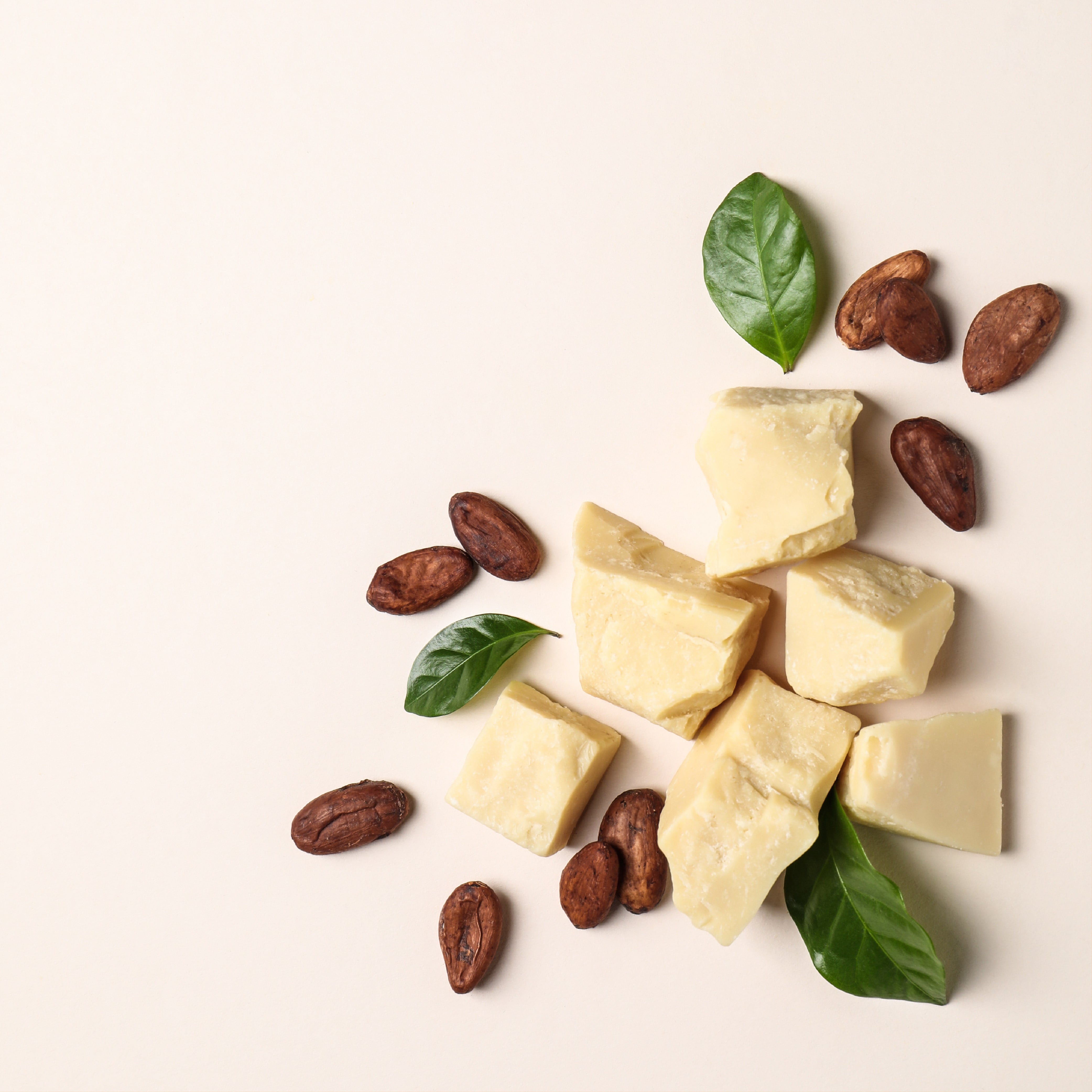 NO. 26 Fragrance Oil for Cold Air Diffusers - Cocoa Butter Scented Aromatherapy Essential Oil for Home, Office & Spa Relaxation