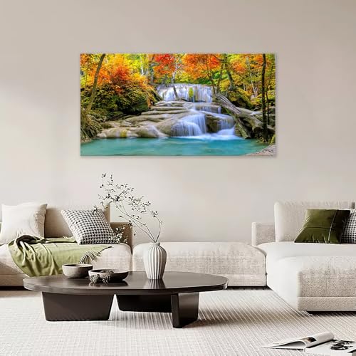 Forest Waterfall