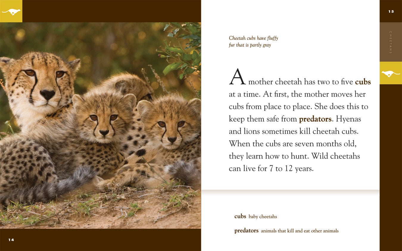 Amazing Animals (2014): Cheetahs - Wildlife Documentary DVD | Fastest Land Animal Facts & Habitat | Perfect for Nature Lovers & Classroom Education