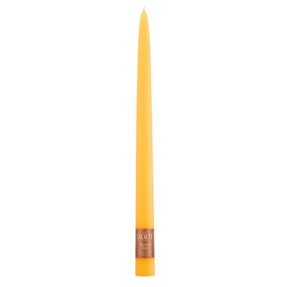 Premium Unscented Beeswax Blend Dinner Candles - 12-Inch Butterscotch Root Candles Set in Gift Box for Elegant Dining, Romantic Dinners & Home Decor