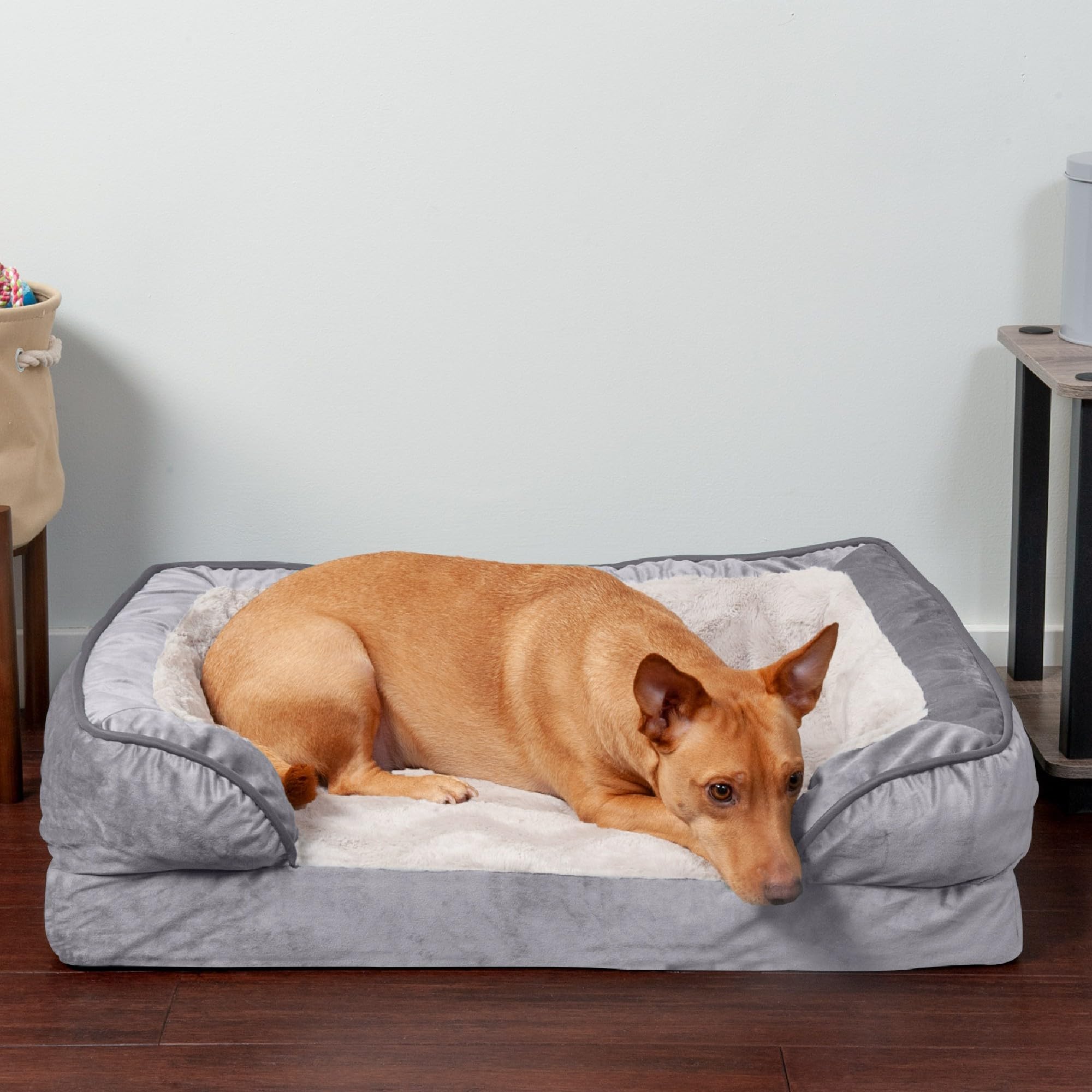 Furhaven Orthopedic Dog Bed for Small & Medium Dogs - Plush Velvet Sofa with Removable Bolsters & Washable Cover - Supports Pets Up to 35 lbs - Granite Gray Medium Size - Perfect for Living Room, Bedroom or Crate Comfort