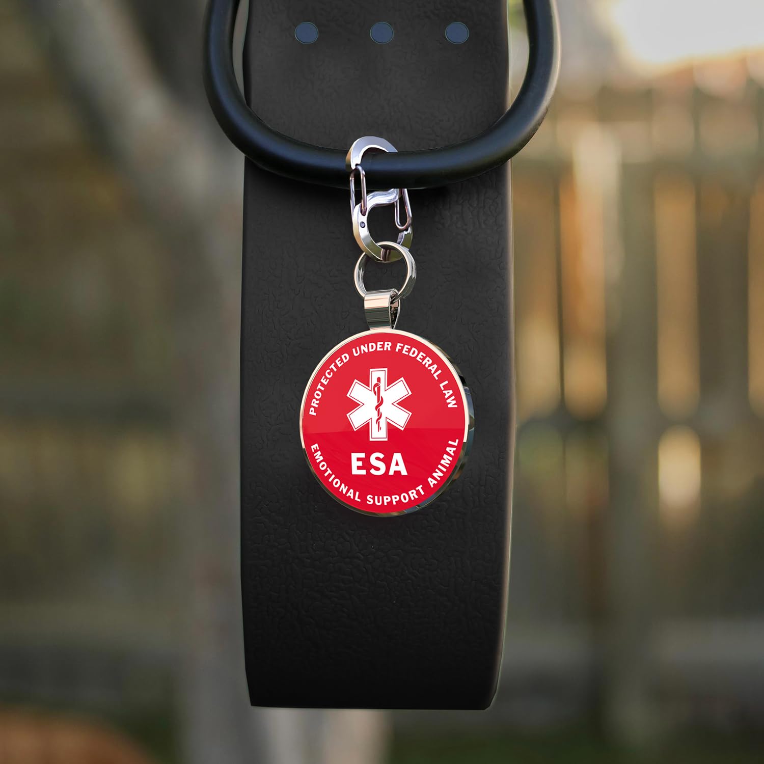 Custom QR Code Dog Tag - Personalized Pet ID Tag with Free Online Pet Webpage for Dogs & Cats | Engraved Name & Contact Info | Perfect for Lost Pet Recovery & Travel Safety