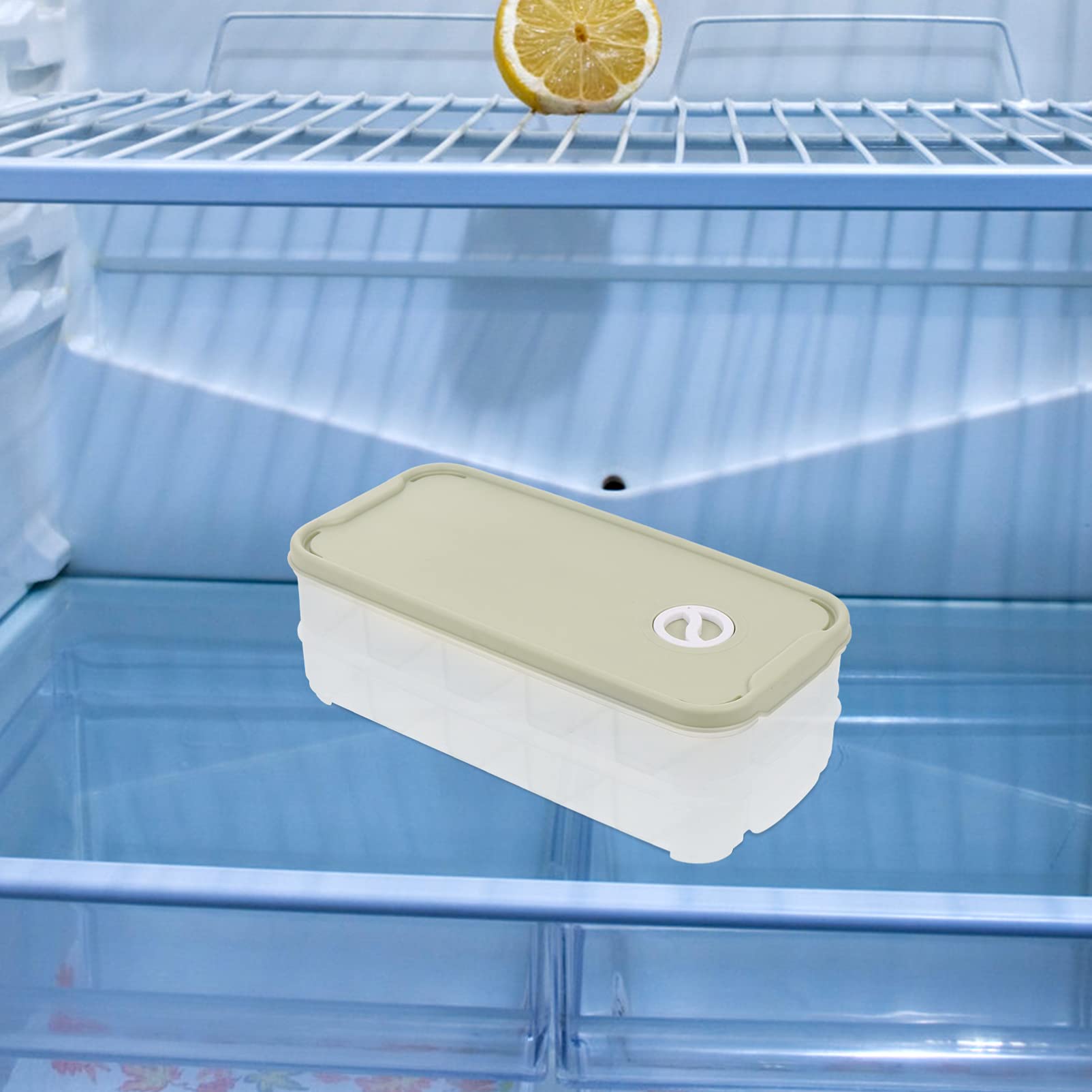 Hemoton 1-Piece Plastic Dumpling Storage Box - Vegetable Organizer, Food Storage Container for Fridge, Freezer & Travel - PP Material, Egg Keeper & Ravioli Tray for Fresh Food Preservation (Perfect for Meal Prep, Leftovers & Refrigerator Organization)