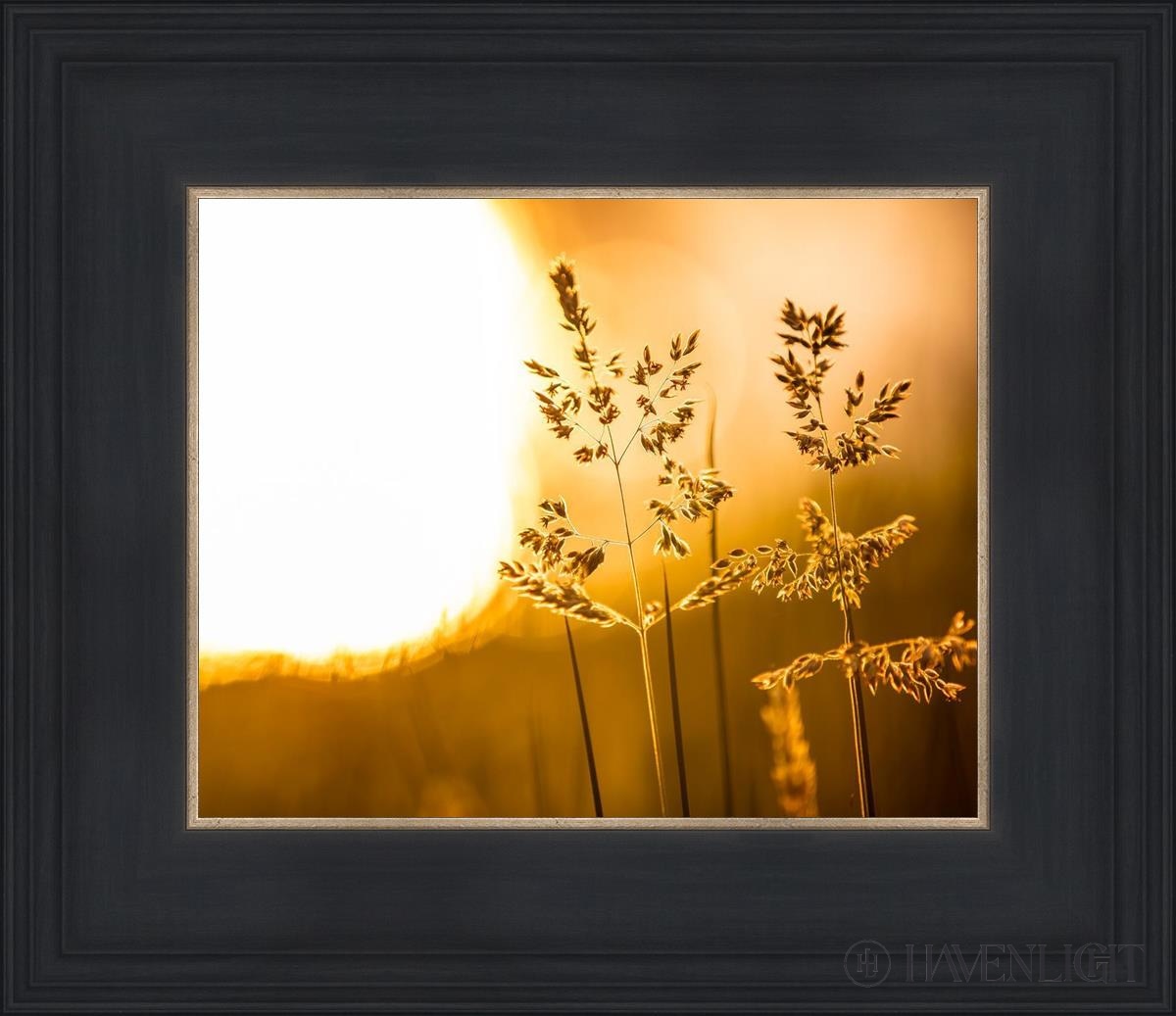 Plate 3 Spring Brook Grasses - Decorative Ceramic Plate for Home & Kitchen Decor, Perfect for Wall Art, Table Centerpiece, and Gift Giving