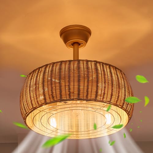 Bamboo