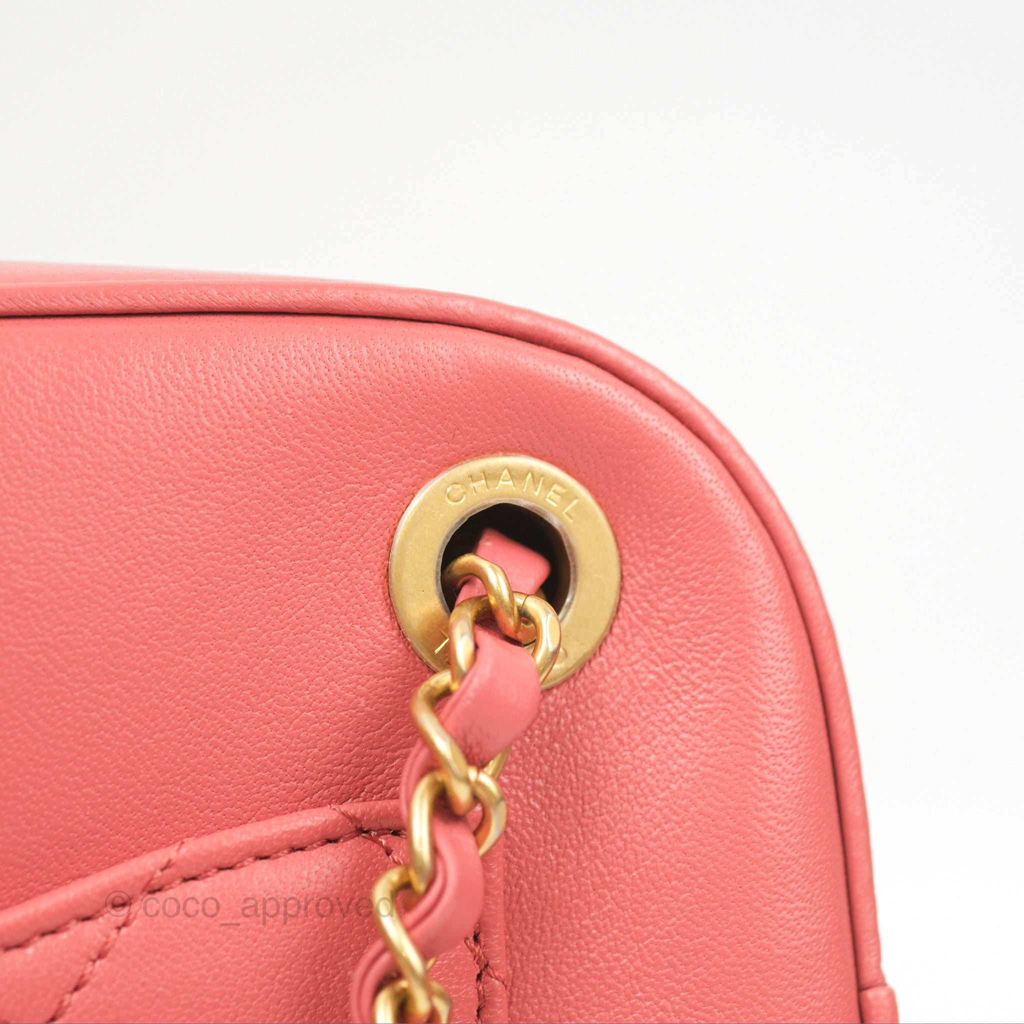 Chanel Pink Goatskin Camera Bag with Aged Gold Chain Strap - Luxury Crossbody Bag for Women, Perfect for Parties & Date Nights