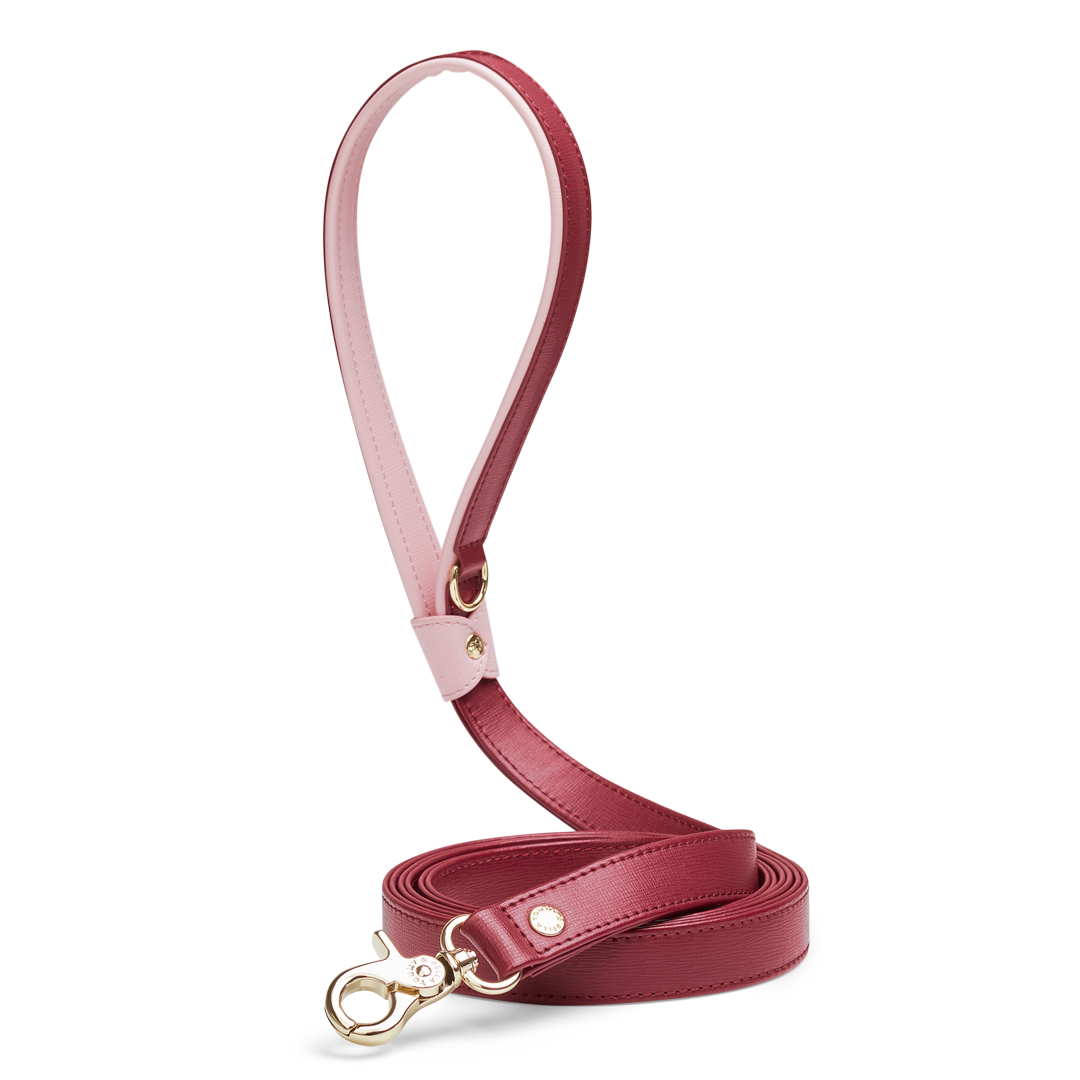 Premium Maroon & Pink Dog Leash - Strong Durable Nylon Pet Lead for Small Medium Large Dogs - Perfect for Walking, Training, and Outdoor Adventures