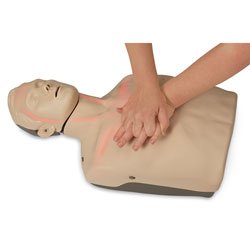 Brayden CPR Training Manikin with Red Indicator Lights - Adult & Infant CPR Practice Mannequin for First Aid, AED, and Emergency Response Training - Perfect for Schools, Hospitals, and Workplace Safety Courses