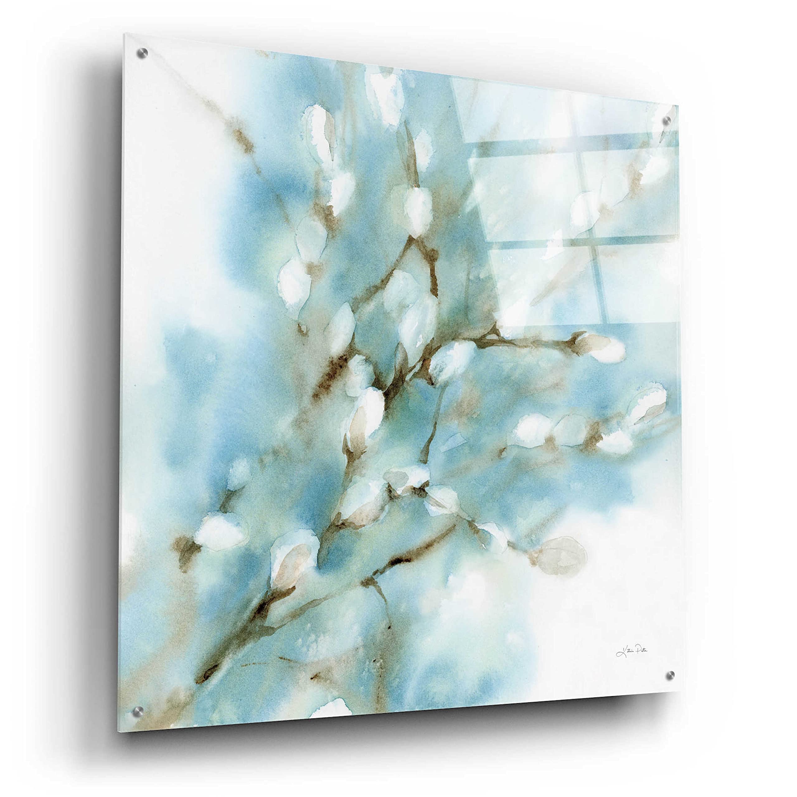 Epic Art 'Pussy Willows Square' by Katrina Pete - 36x36 Inch Acrylic Glass Wall Painting - Modern Home Decor for Living Room, Bedroom & Office