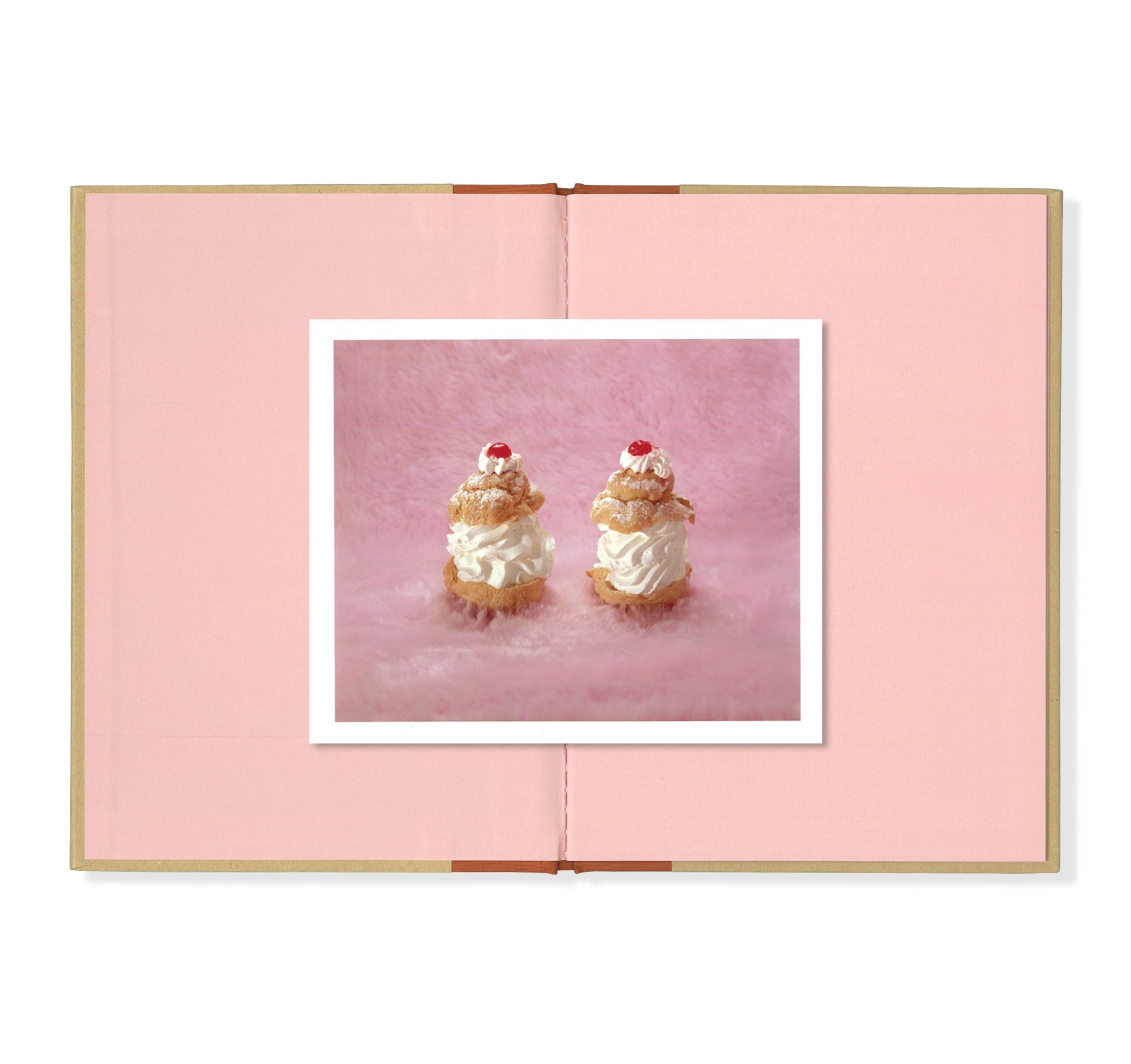 ONE PICTURE BOOK TWO #06: CHEAP THRILLS by Jo Ann Callis - Art Photography Book for Collectors & Enthusiasts - Perfect for Home Decor, Coffee Table Display & Gift Giving