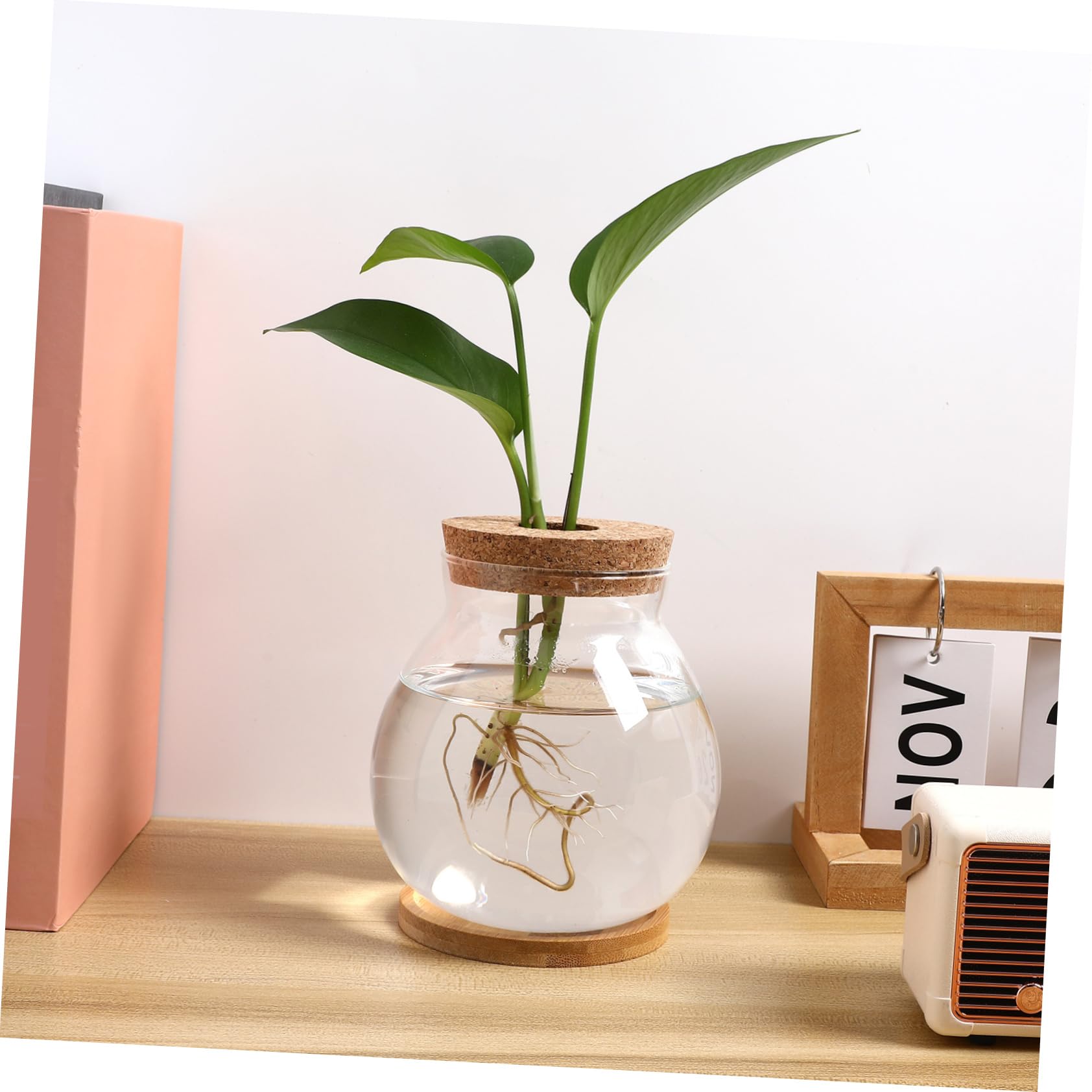 Glass Terrarium with Lid - Goldfish Bowl, Betta Fish Tank, Hydroponic Plant Vase for Office Desk Decor | Perfect for Home Aquarium, Indoor Gardening & Zen Bamboo Arrangements
