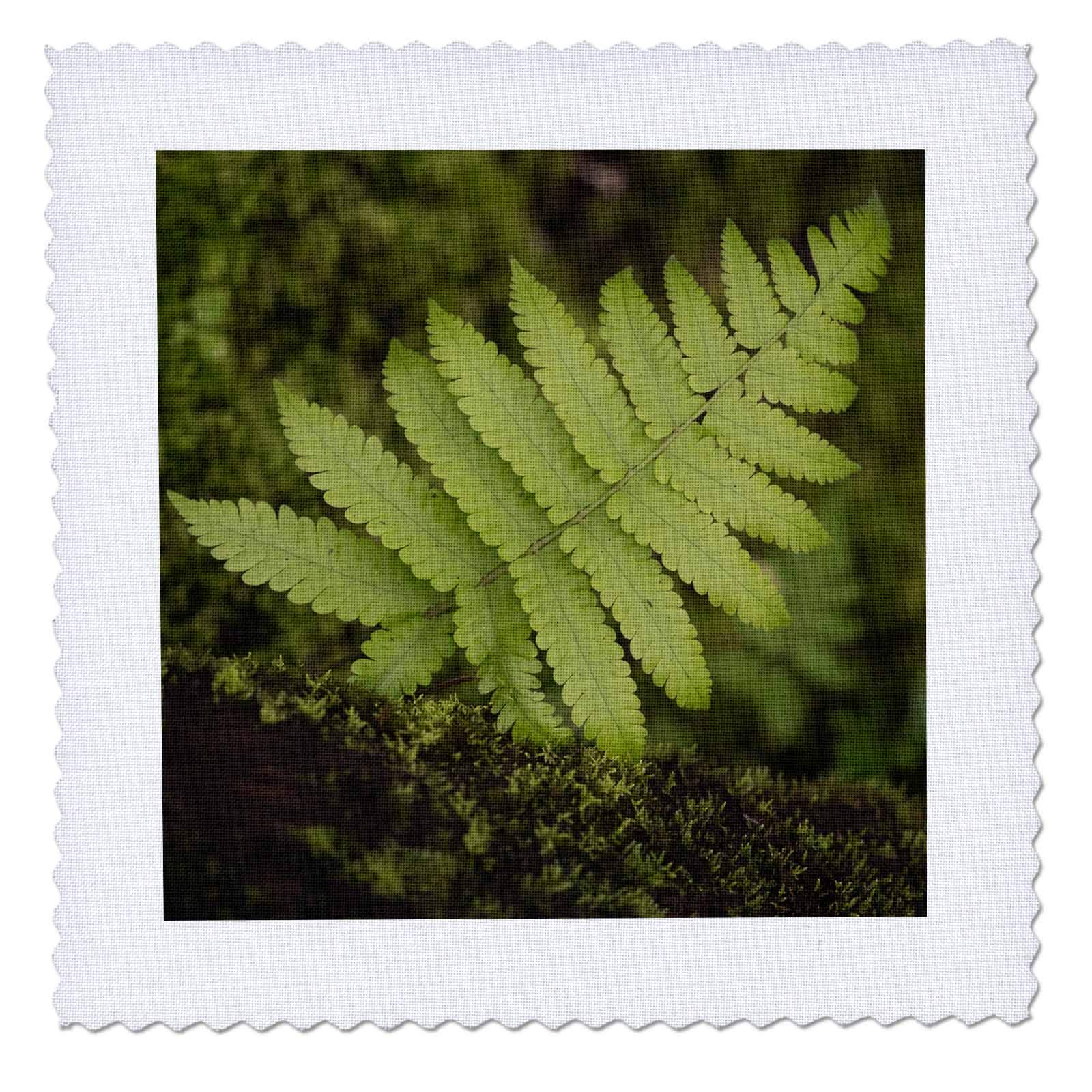 3D Printed Quilt Squares - Fiji Taveuni Island Moss-Covered Log with Small Fern Design (qs_345591_1) - Perfect for DIY Quilting, Home Decor, and Craft Projects