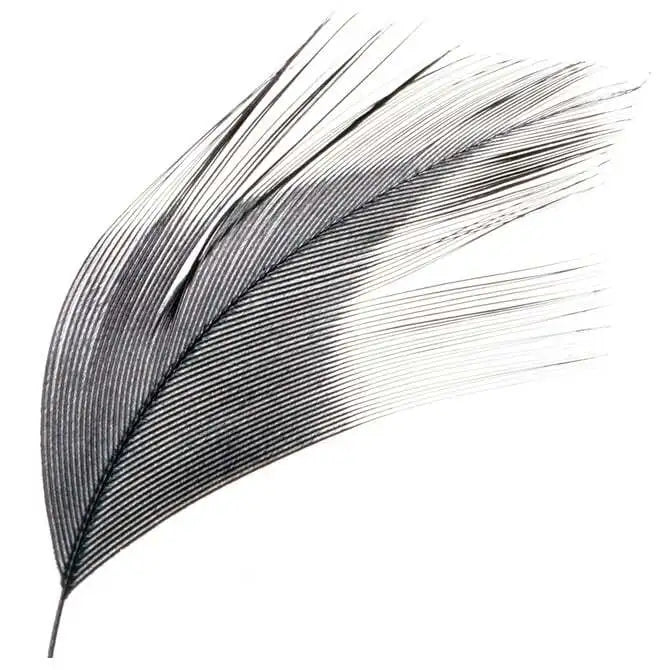 Black Feather Picks 3.75