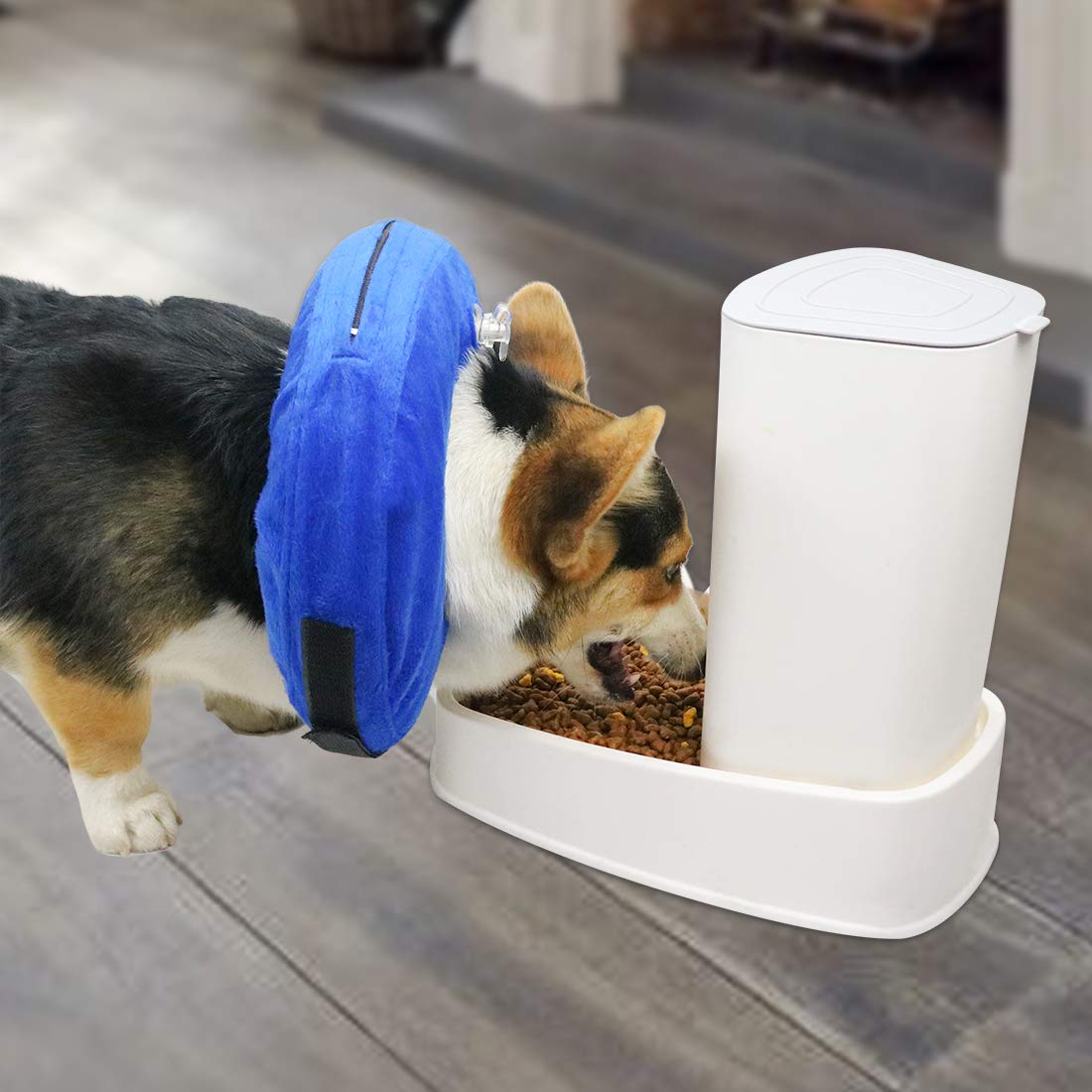 Inflatable Dog Cone Collar - Adjustable Soft Recovery E-Collar for Dogs After Surgery - Prevents Biting & Scratching Without Blocking Vision - Comfortable Post-Op Protective Gear (Blue, XL Size) - Perfect for Wound Healing, Spay/Neuter Recovery & Skin Allergy Protection