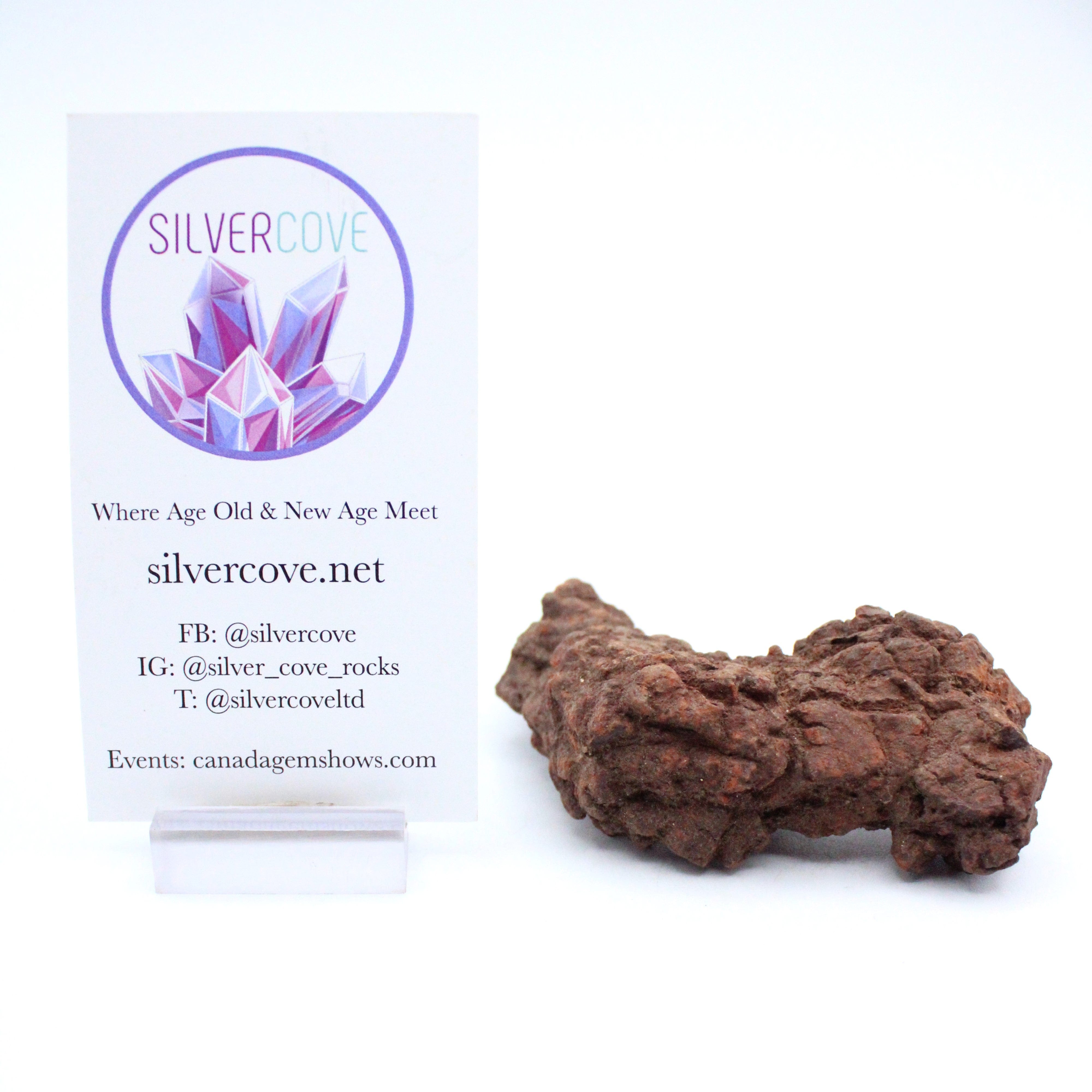 Authentic Coprolite Fossil Specimen - Dinosaur Poop Fossil for Collectors, Education & Home Decor | Perfect for Science Enthusiasts & Paleontology Gifts