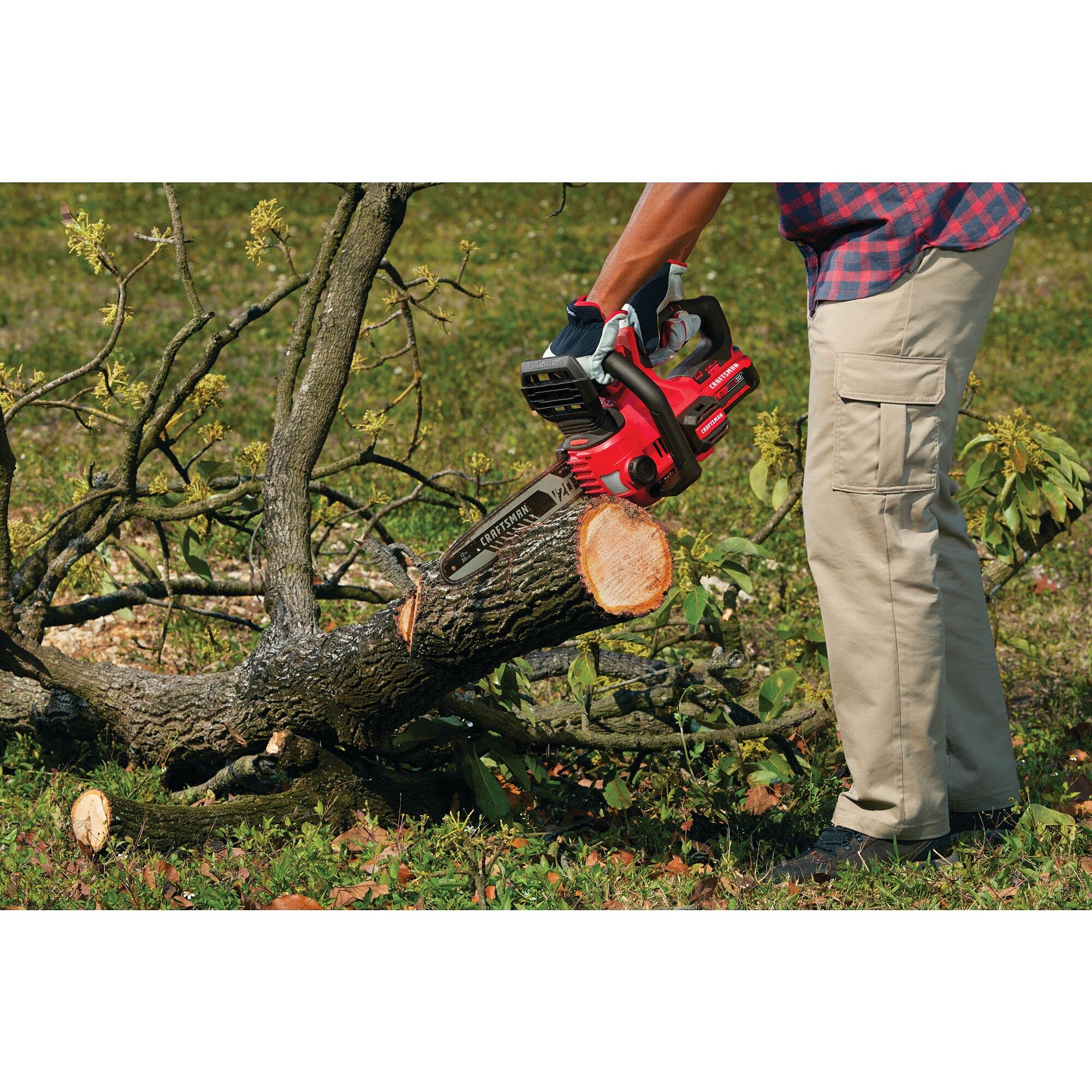CRAFTSMAN V20 12-Inch Cordless Mini Chainsaw - Bare Tool (CMCCS620B) | Perfect for Tree Trimming, Pruning & DIY Woodworking Projects
