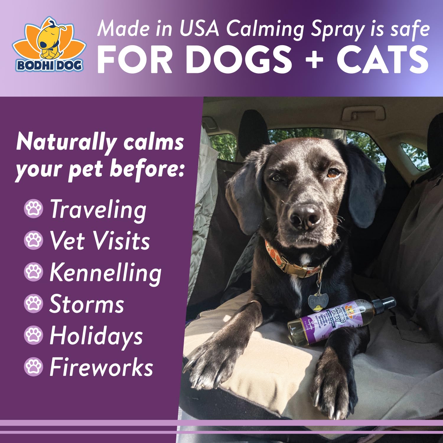 Bodhi Dog Natural Calming Spray for Dogs - Soothing Lavender Scent Pet Anxiety Relief - Made in USA - 8 Fl Oz - Perfect for Grooming, Travel, Fireworks, Vet Visits & Thunderstorms