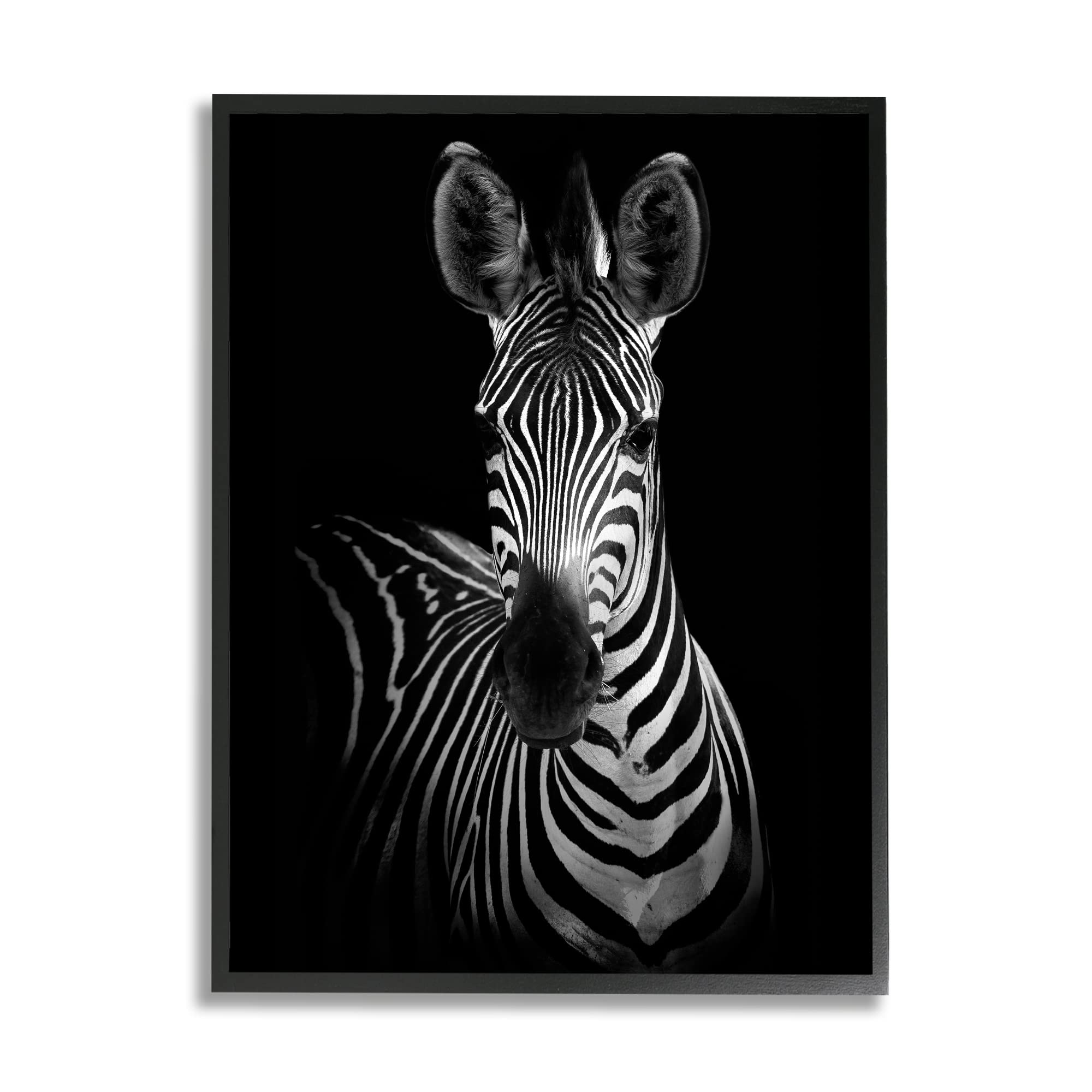 Stupell Industries Black and White Zebra Photography Portrait Wall Art - Stunning Monochrome Wildlife Decor for Living Room, Bedroom & Office