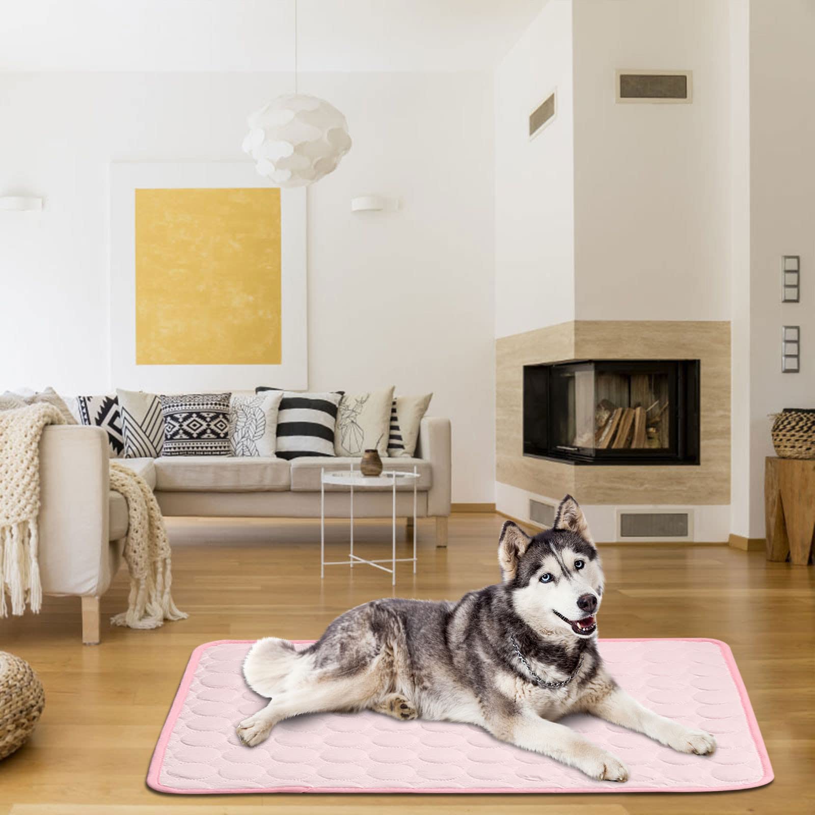 Cooling Pet Mat for Cats & Dogs - Washable Ice Silk Pad for Beds & Crates - Summer Comfort