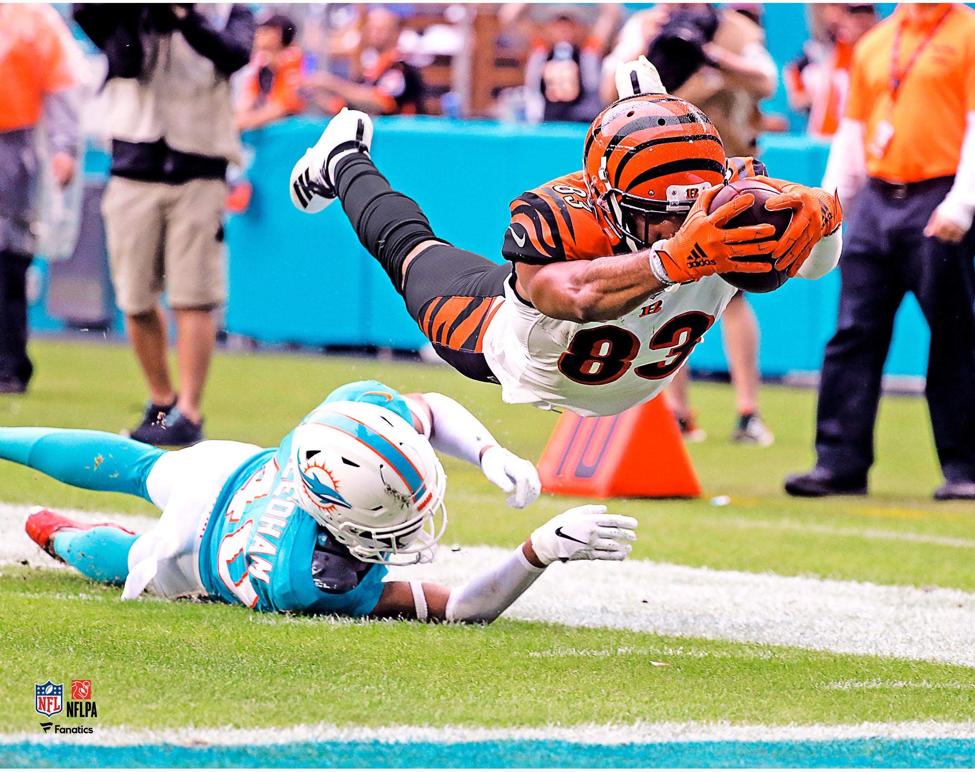 Tyler Boyd Cincinnati Bengals NFL Touchdown Dive Photograph - Signed Fantasy Football Collectible Art Print - Perfect for Sports Memorabilia & Man Cave Decor