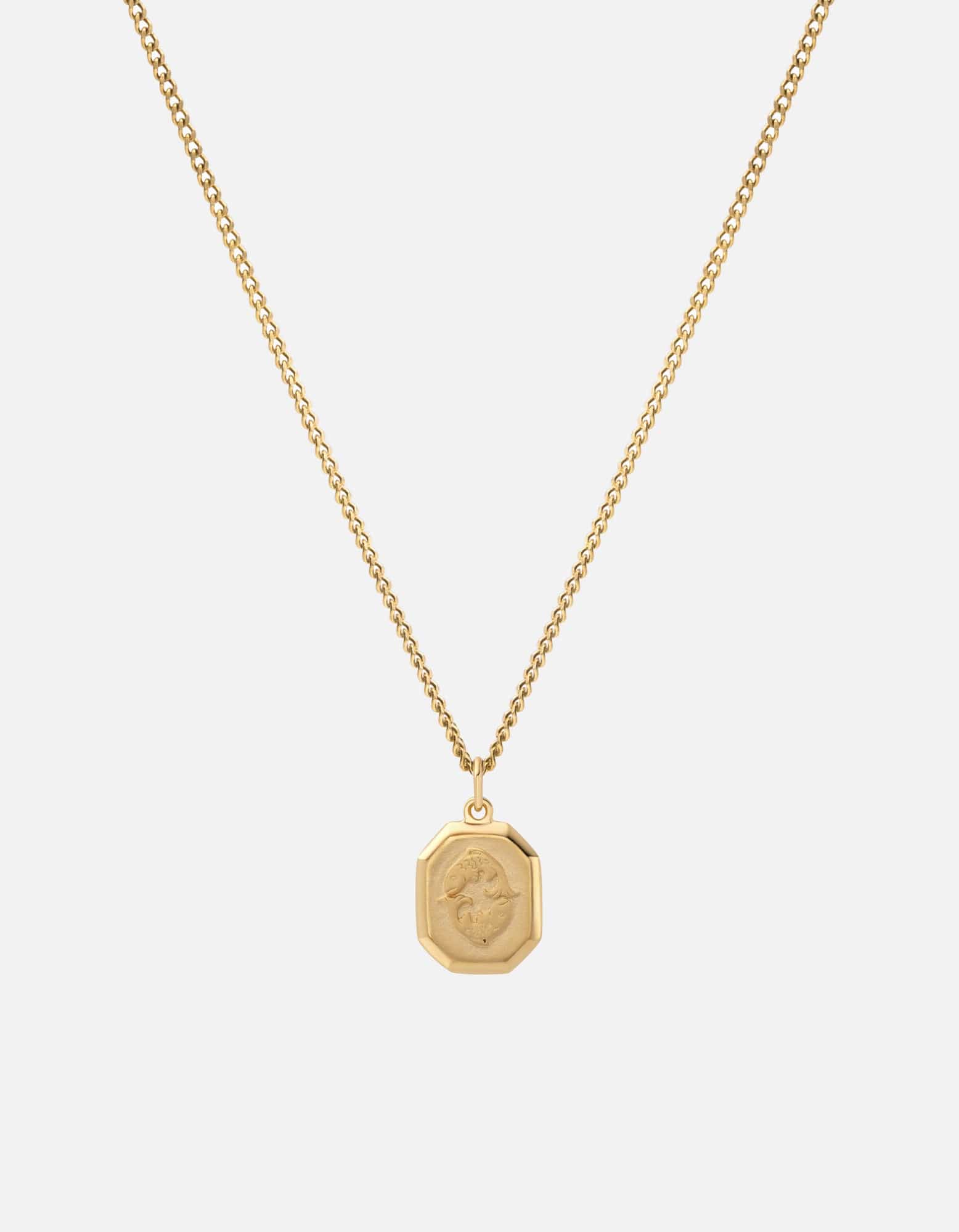 Zodiac Nyle Necklace - 14K Gold Vermeil Pendant for Women, Elegant Zodiac Sign Jewelry Gift for Birthday, Anniversary & Everyday Wear