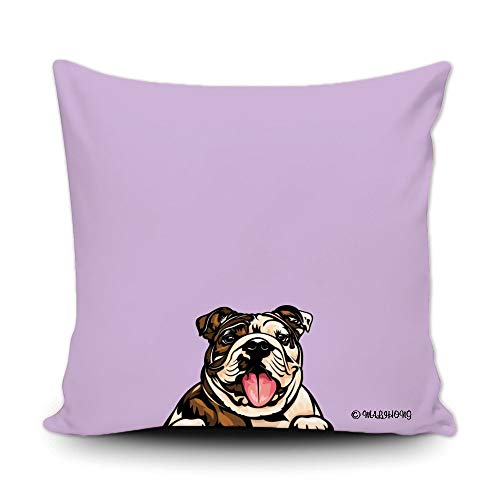English Bulldog-1-9