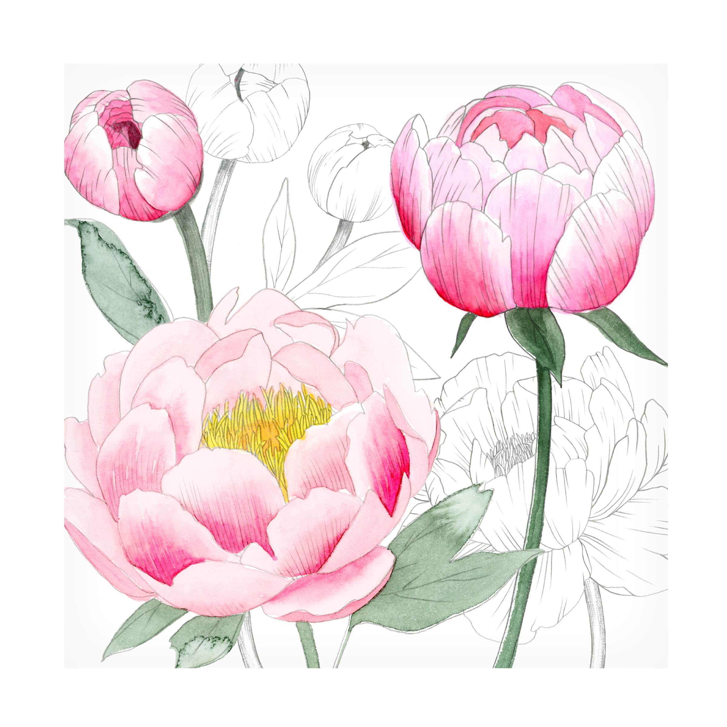 Grace Popp 'May Peonies II' Floral Canvas Wall Art Print - Perfect for Living Room, Bedroom & Office Decor
