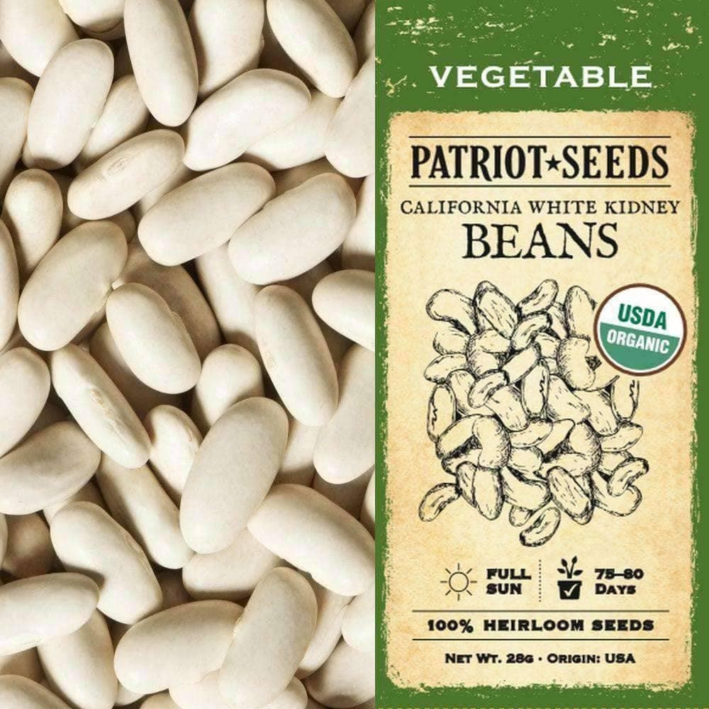 Organic California White Kidney Beans 28g | Non-GMO, Gluten-Free | Perfect for Salads, Soups & Healthy Cooking