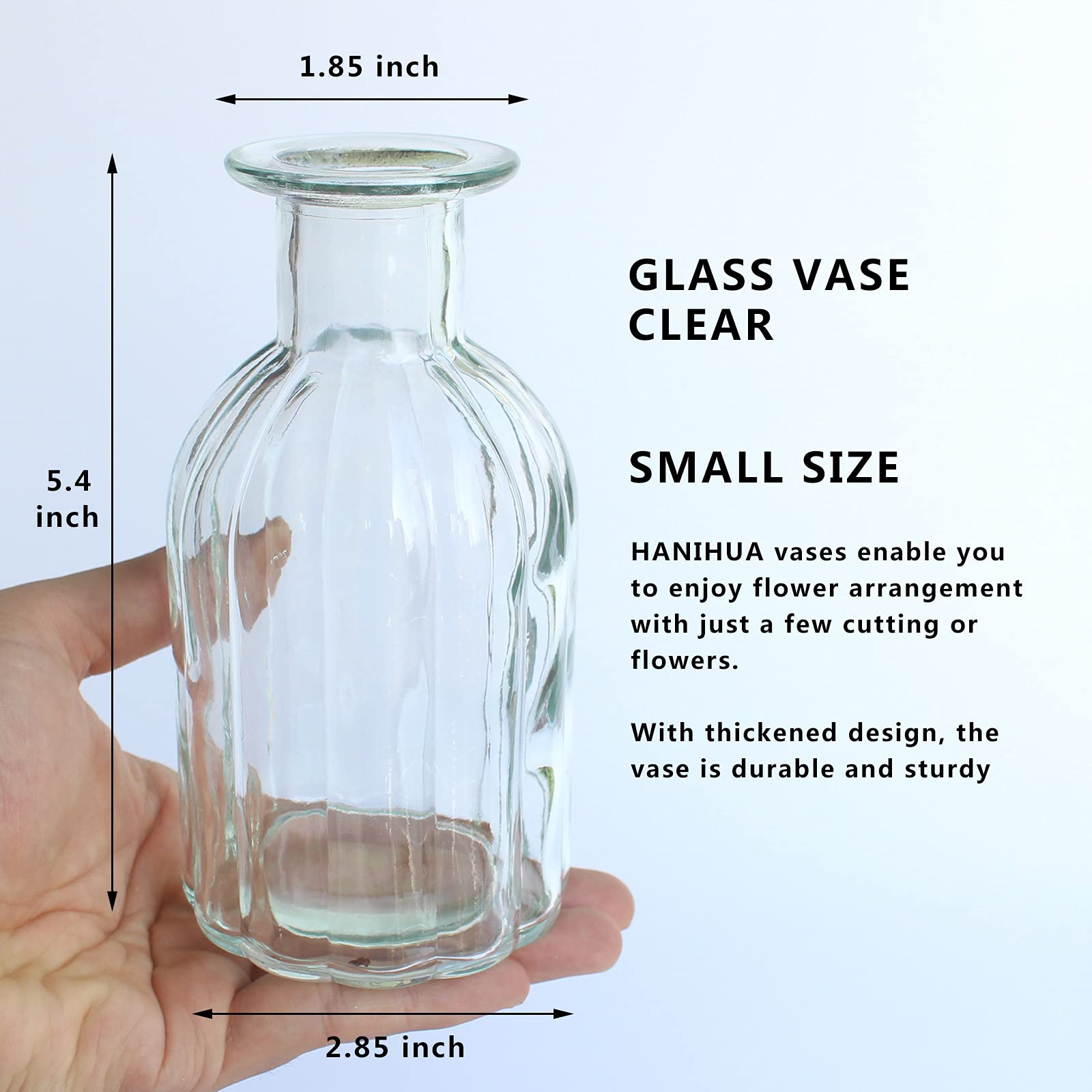 12-Piece Clear Glass Bud Vases Set - 2.85
